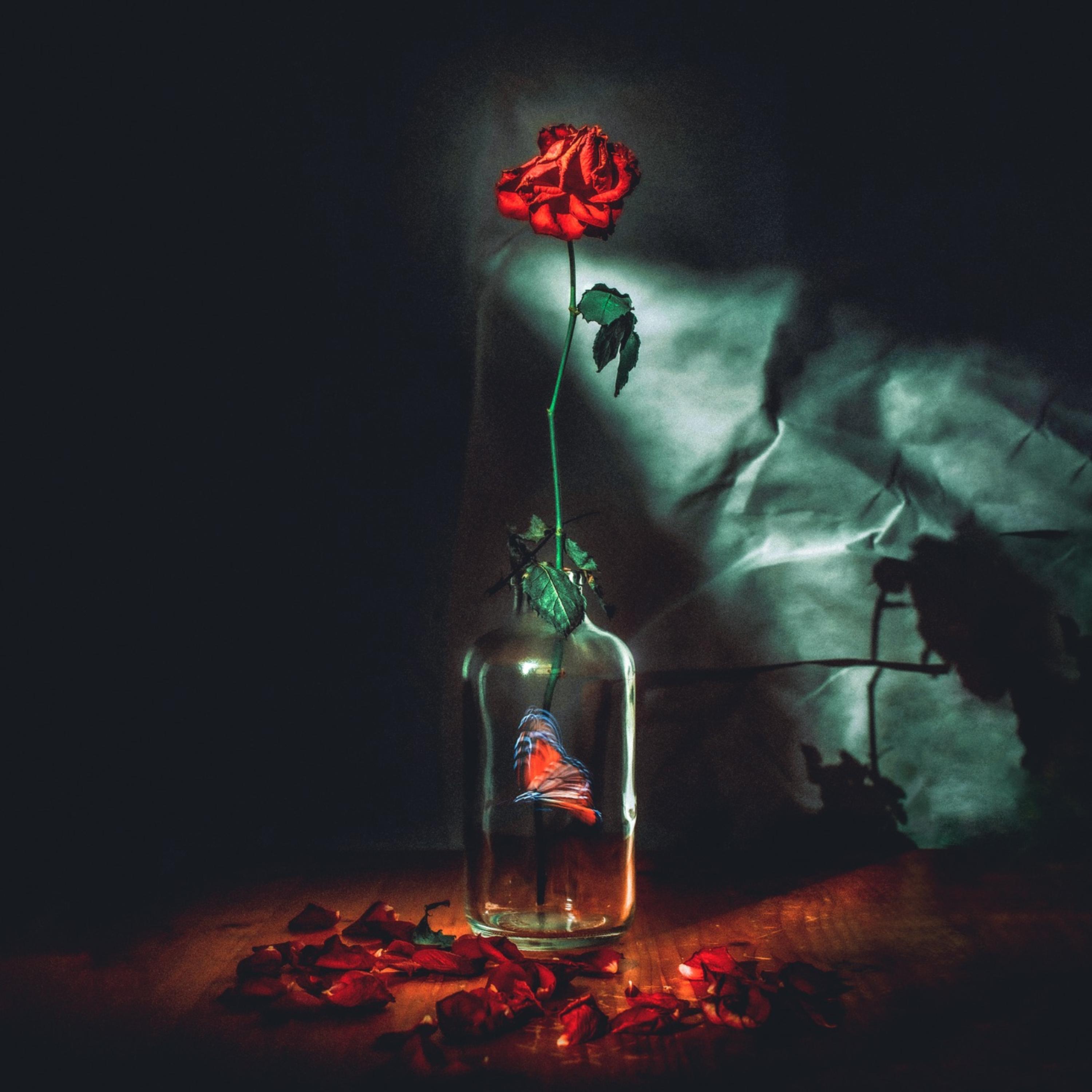 OLEF / 1,000 artwork