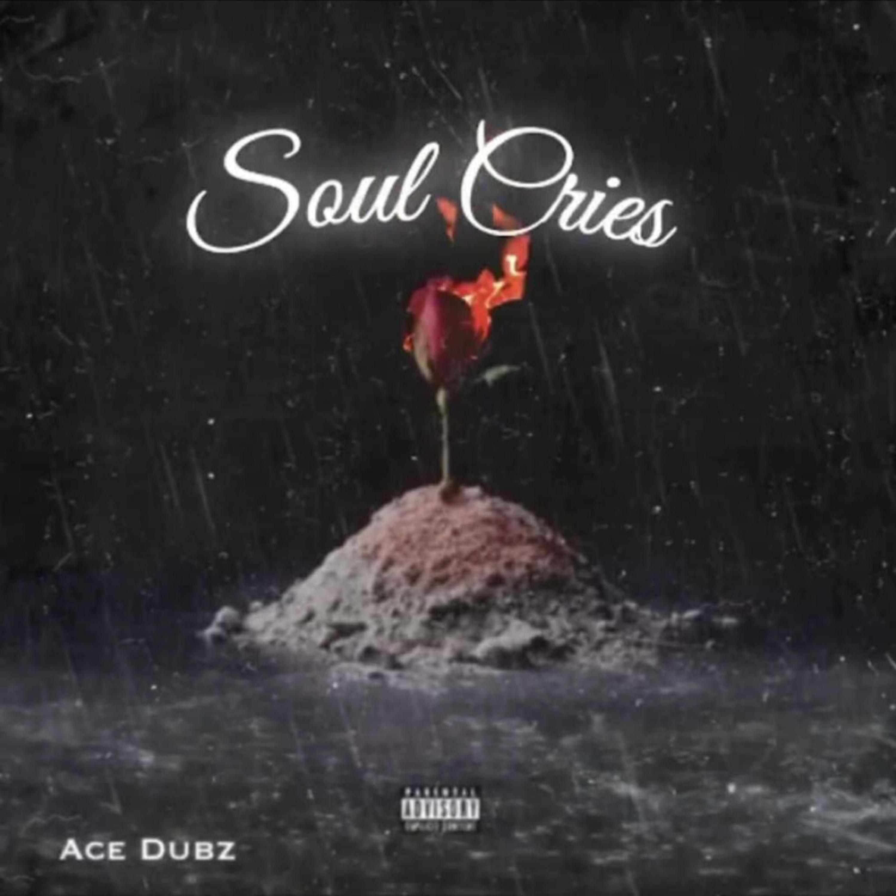 Soul Cries artwork
