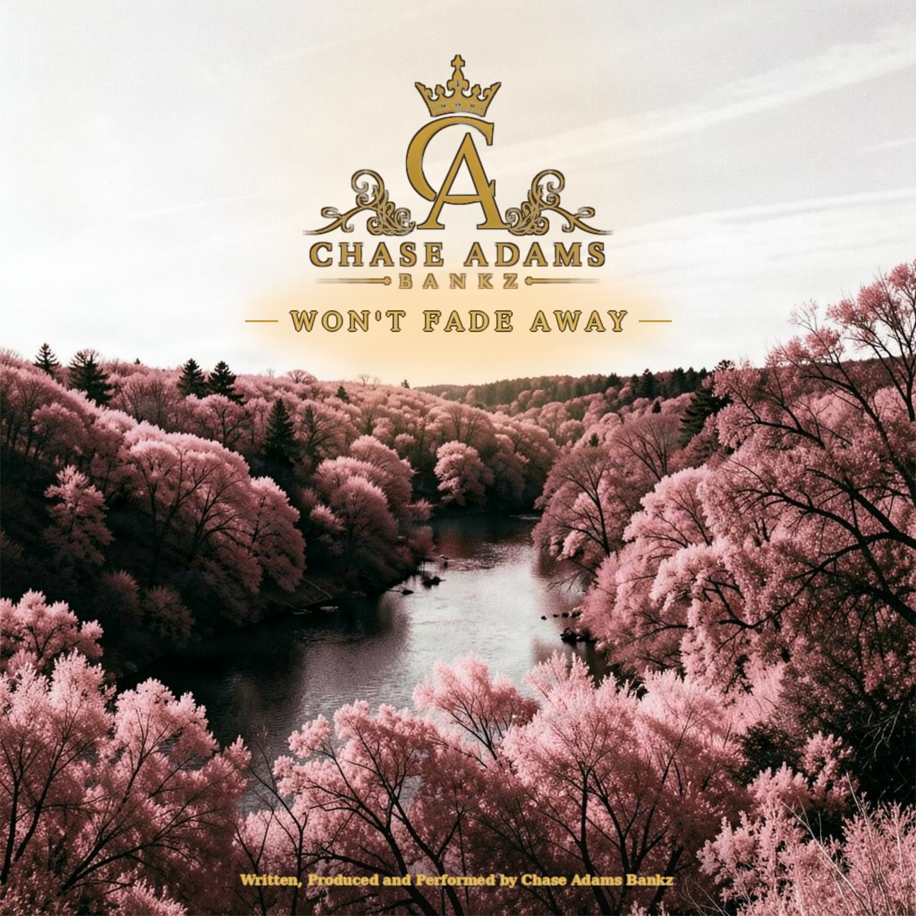 Won't Fade Away by Chase Adams Bankz cover art