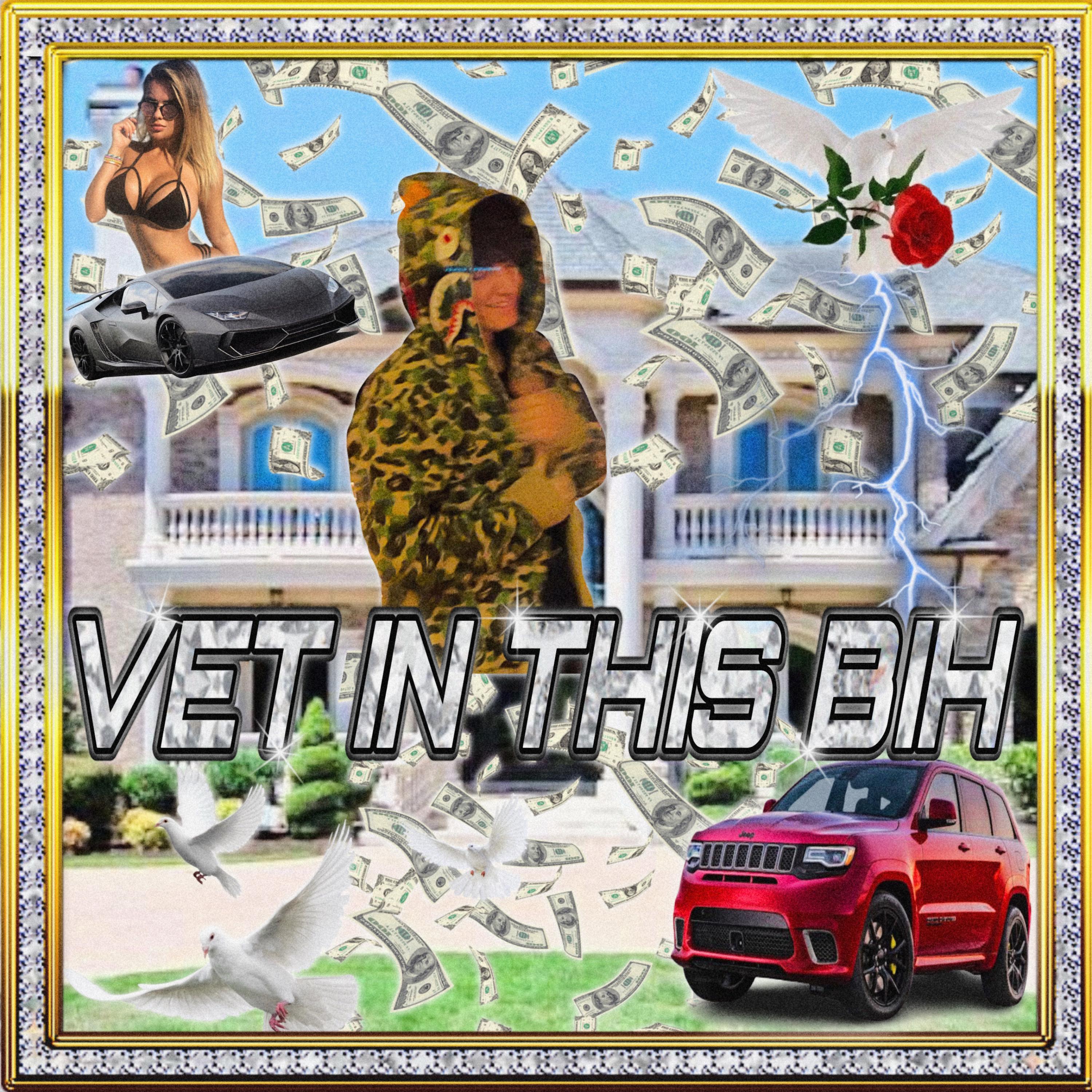 Vet in This Bih artwork