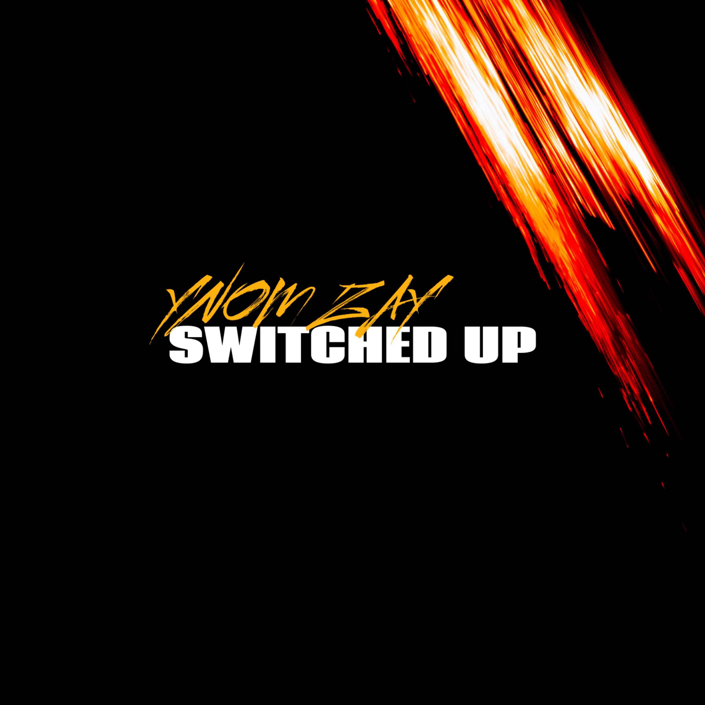 Switched Up by YNOM Zay cover art