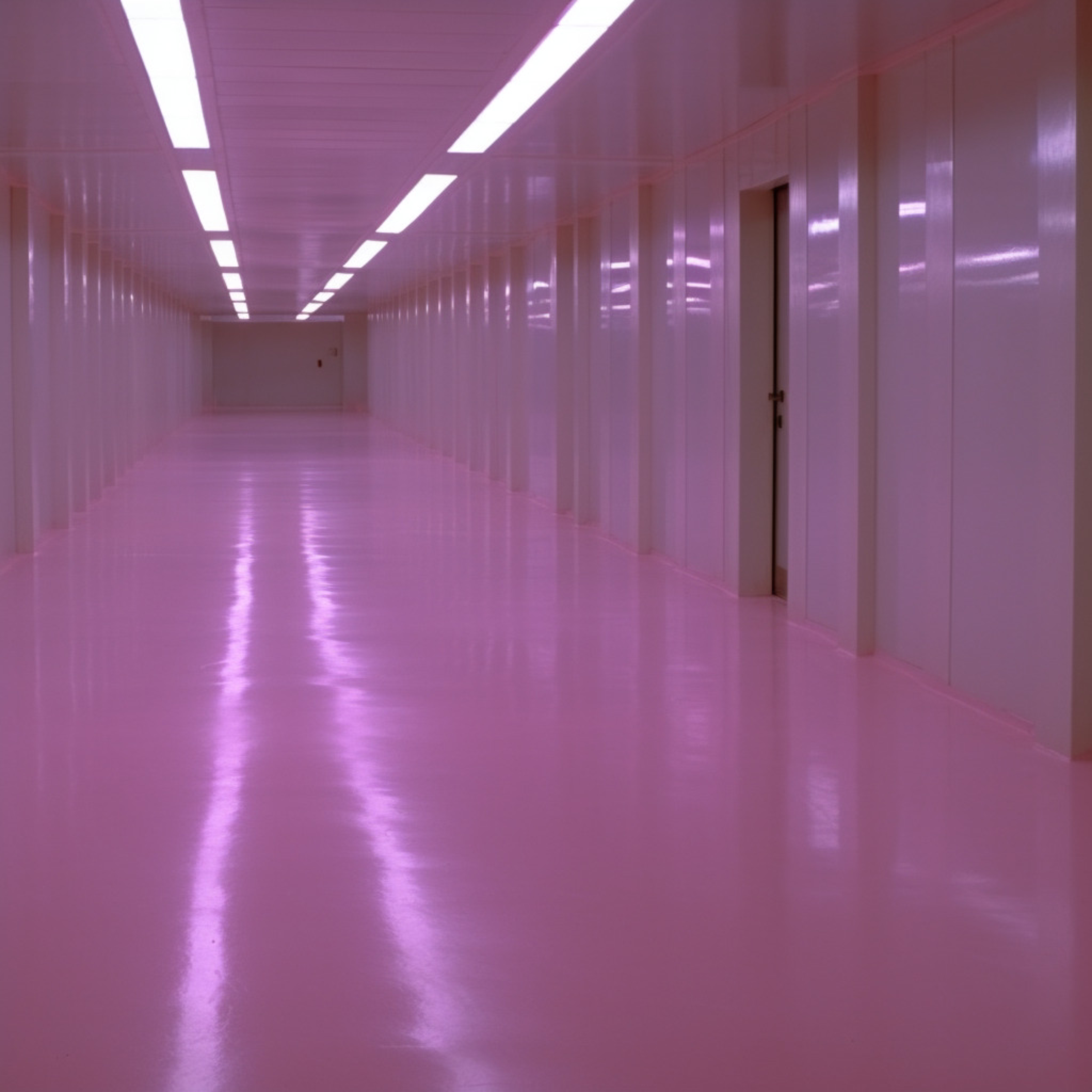The Pink Back Rooms artwork