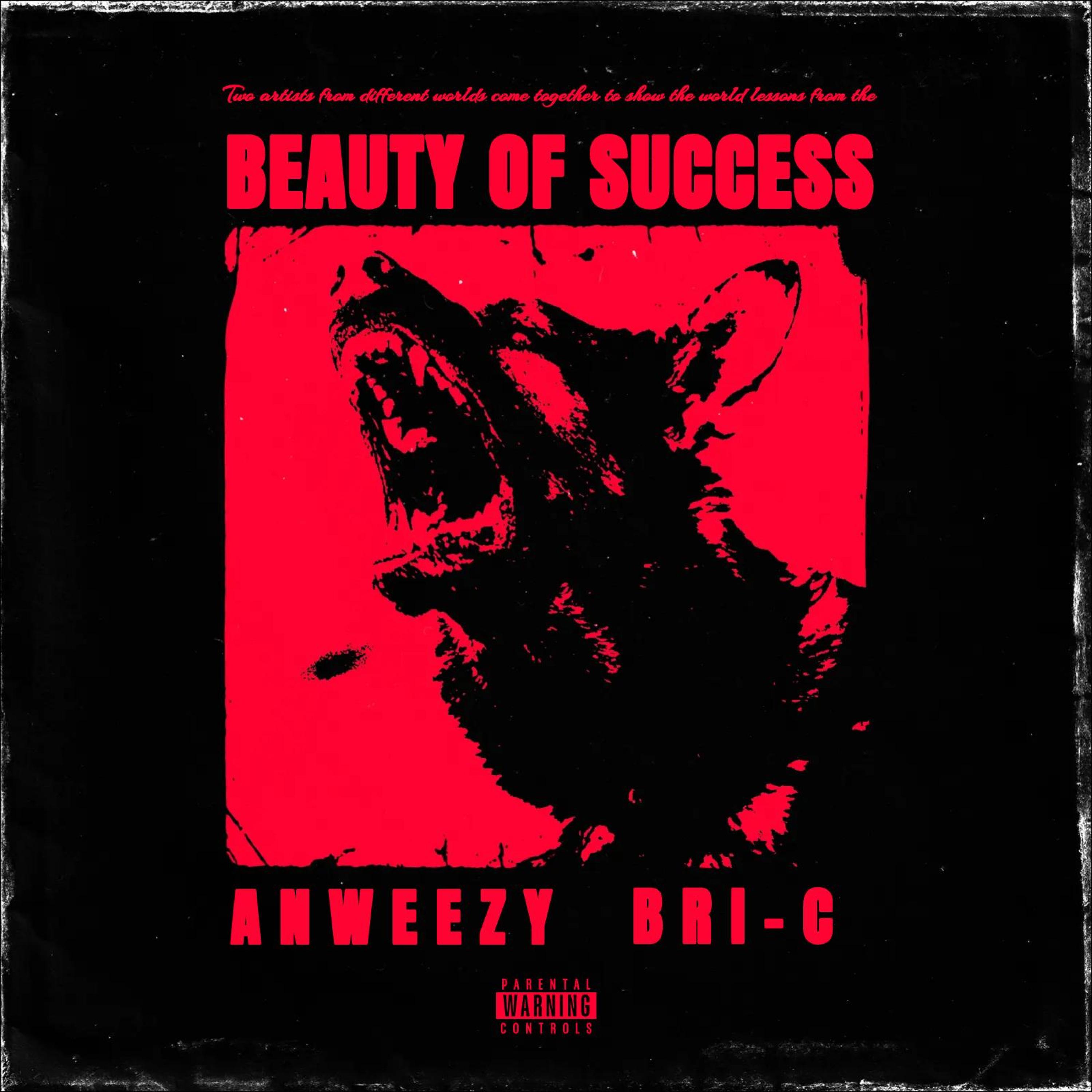Beauty Of Success by Anweezy cover art