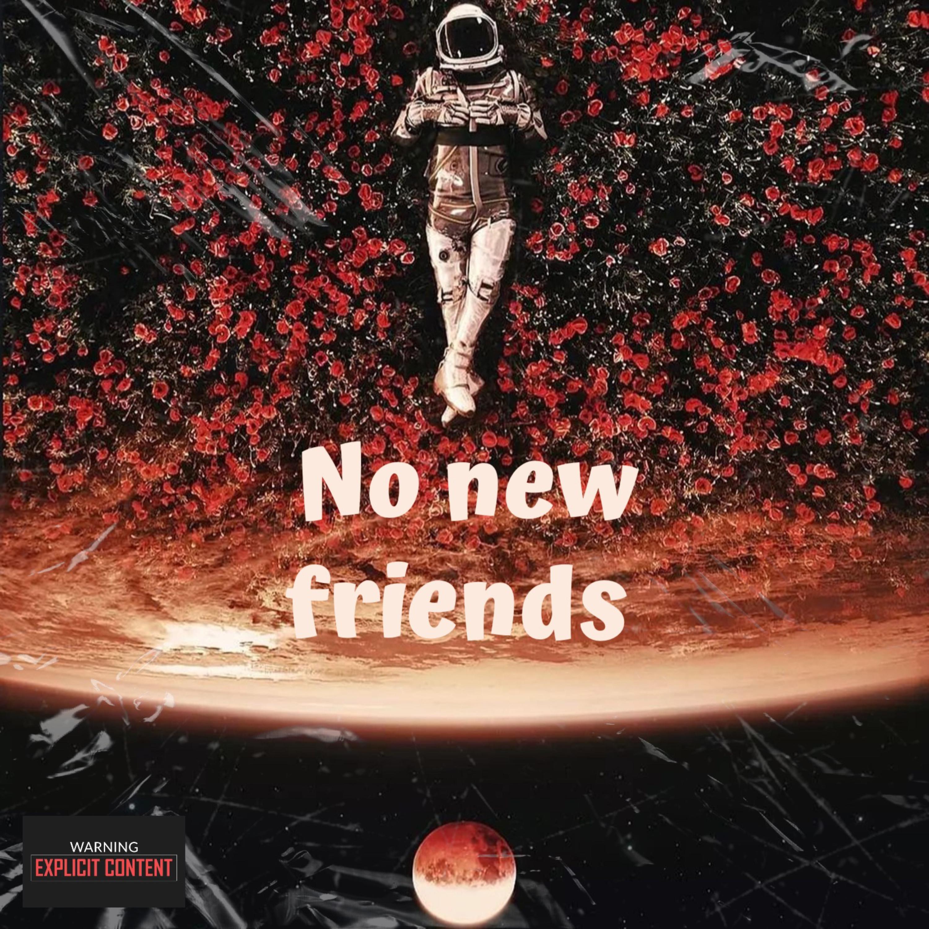 No New Friends artwork