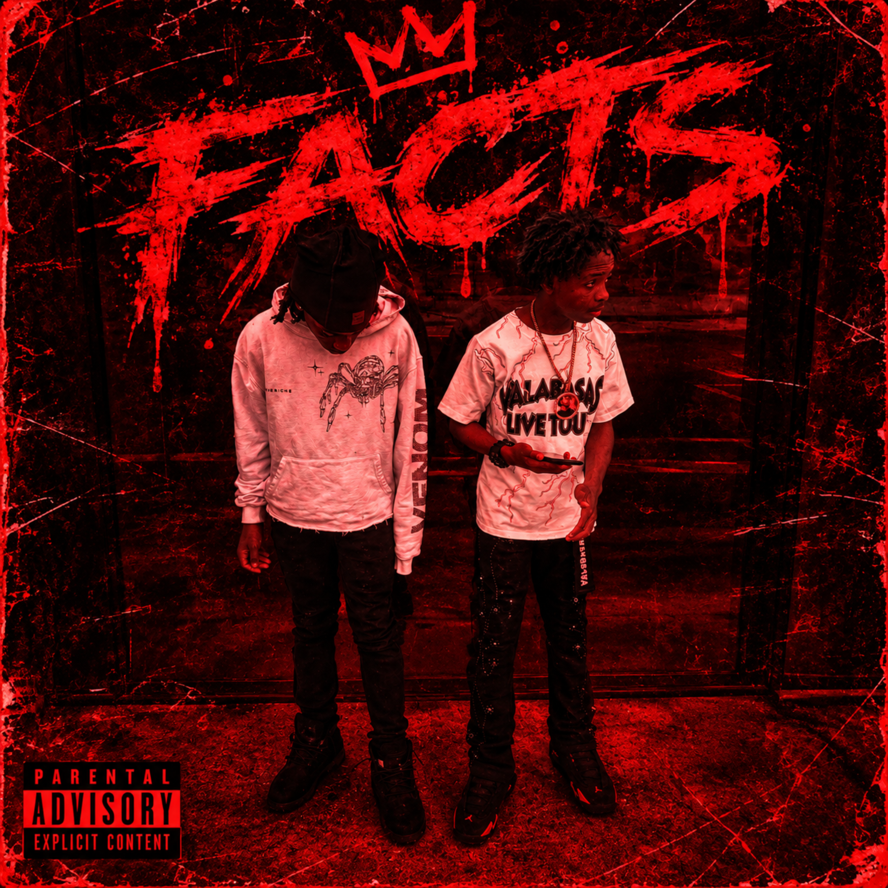 Facts by Babysyke03 cover art