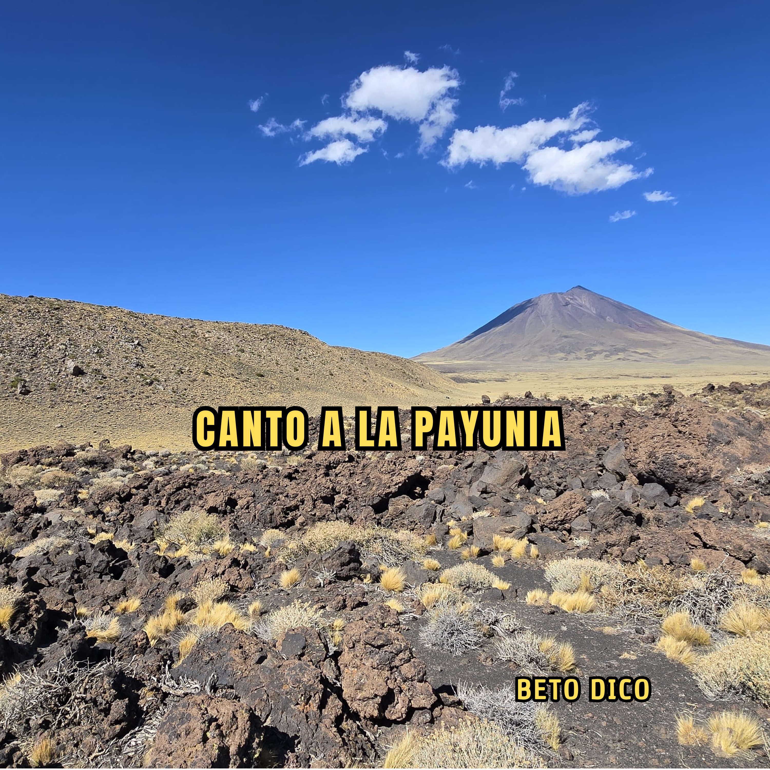Canto a La Payunia artwork