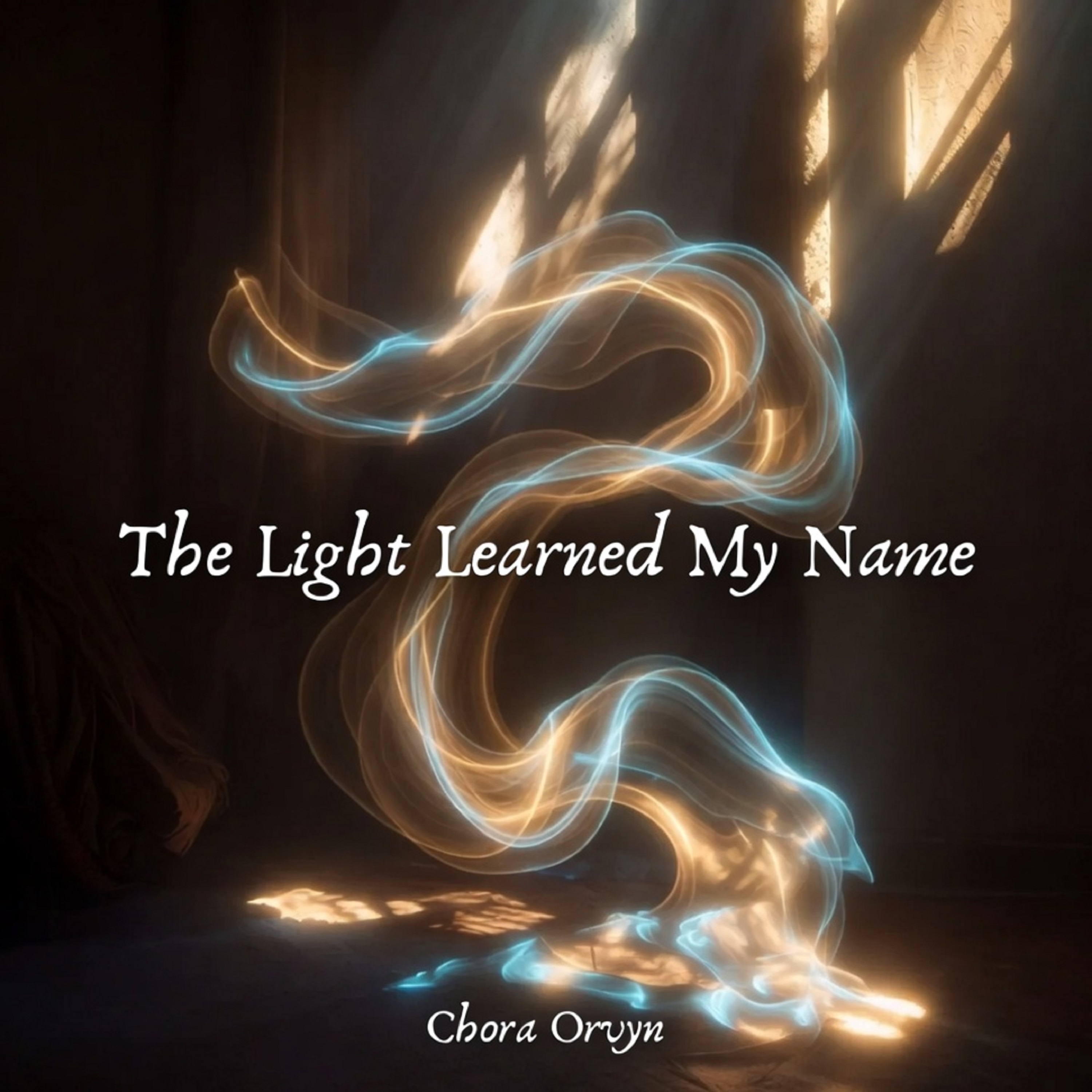The Light Learned My Name artwork