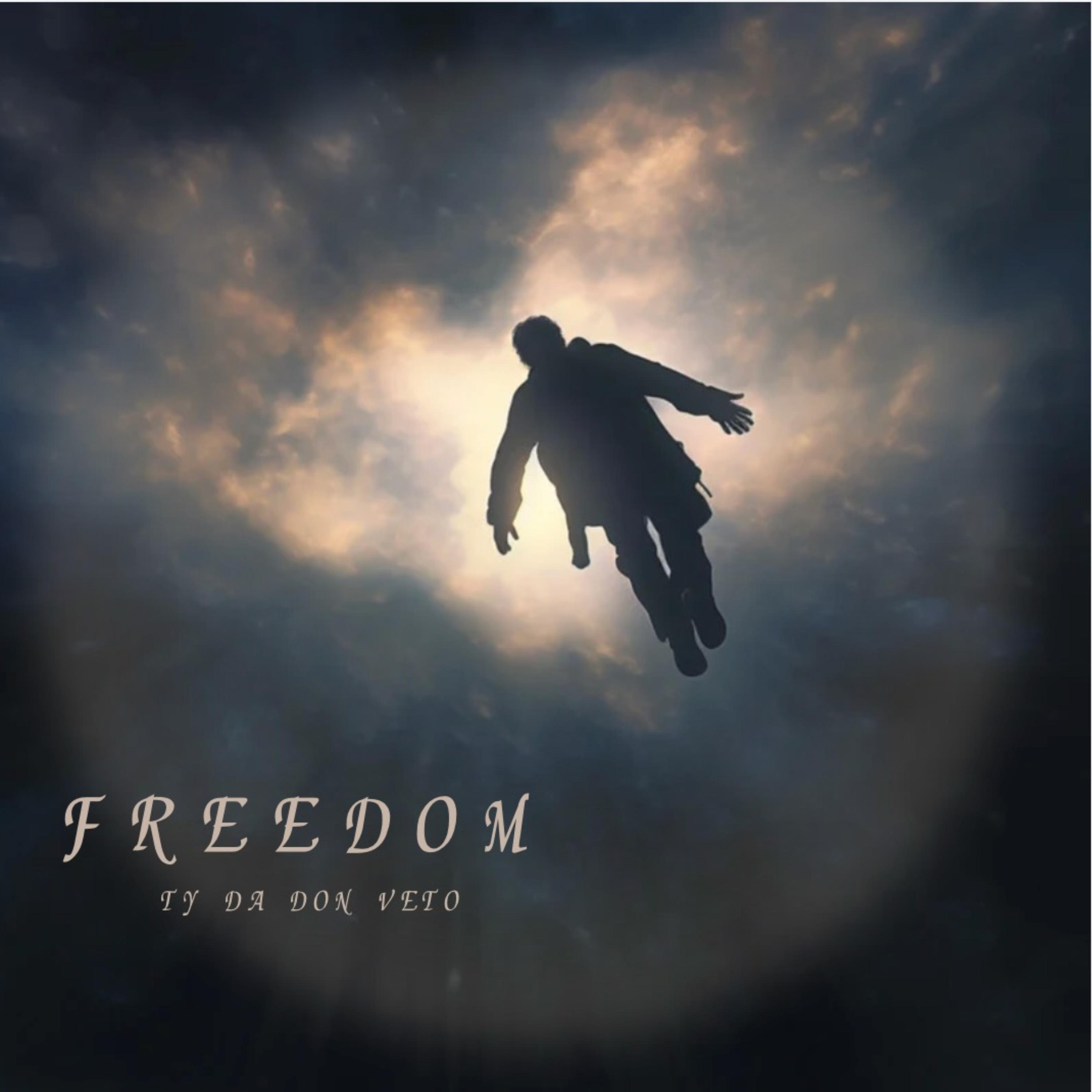 FREEDOM artwork
