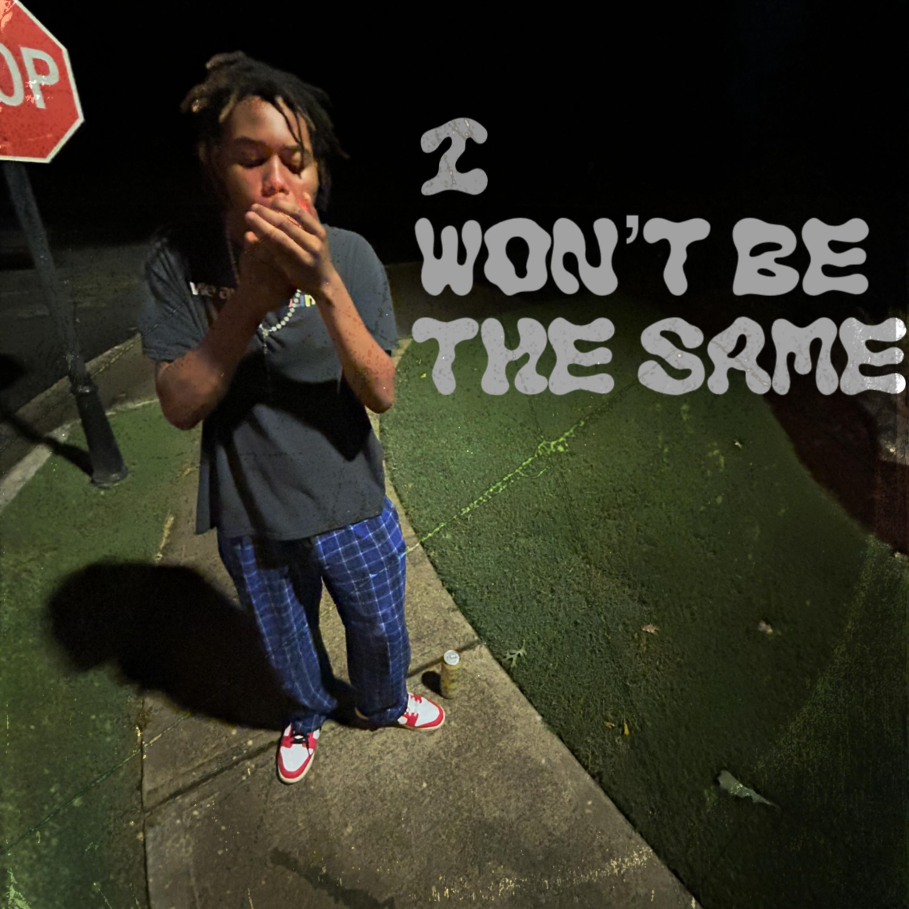 I Won’t Be The Same artwork