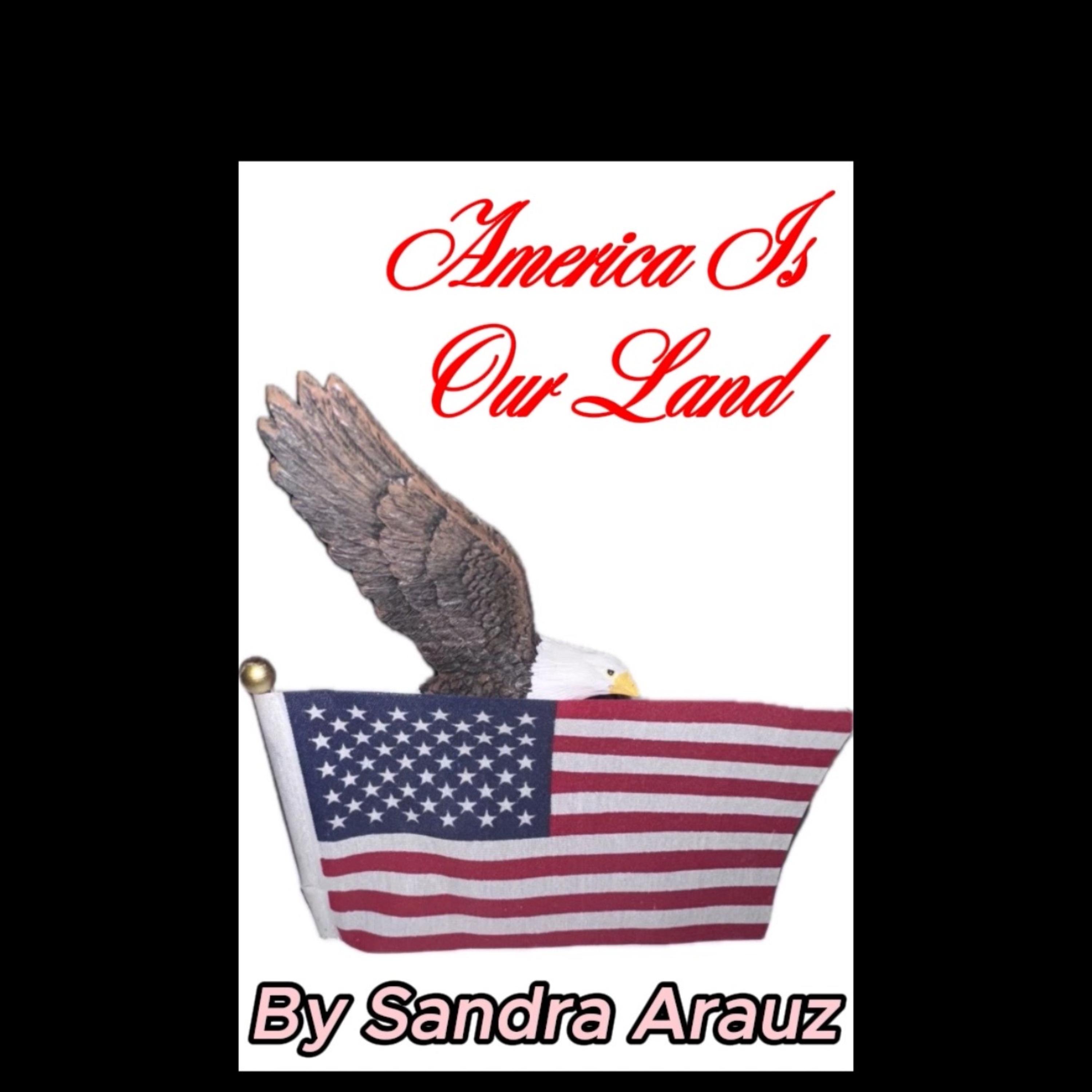 America Is Our Land artwork