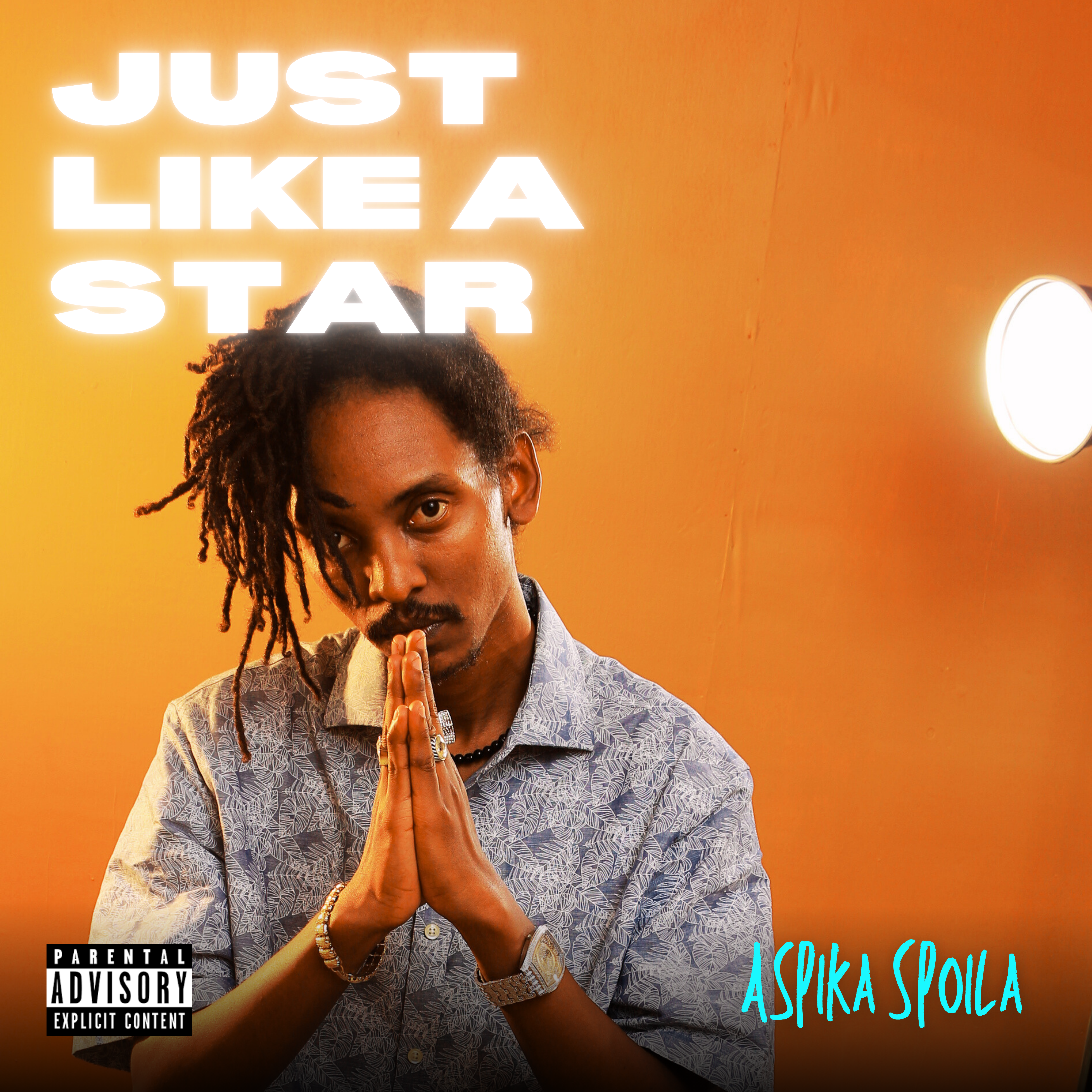 Just Like A Star artwork