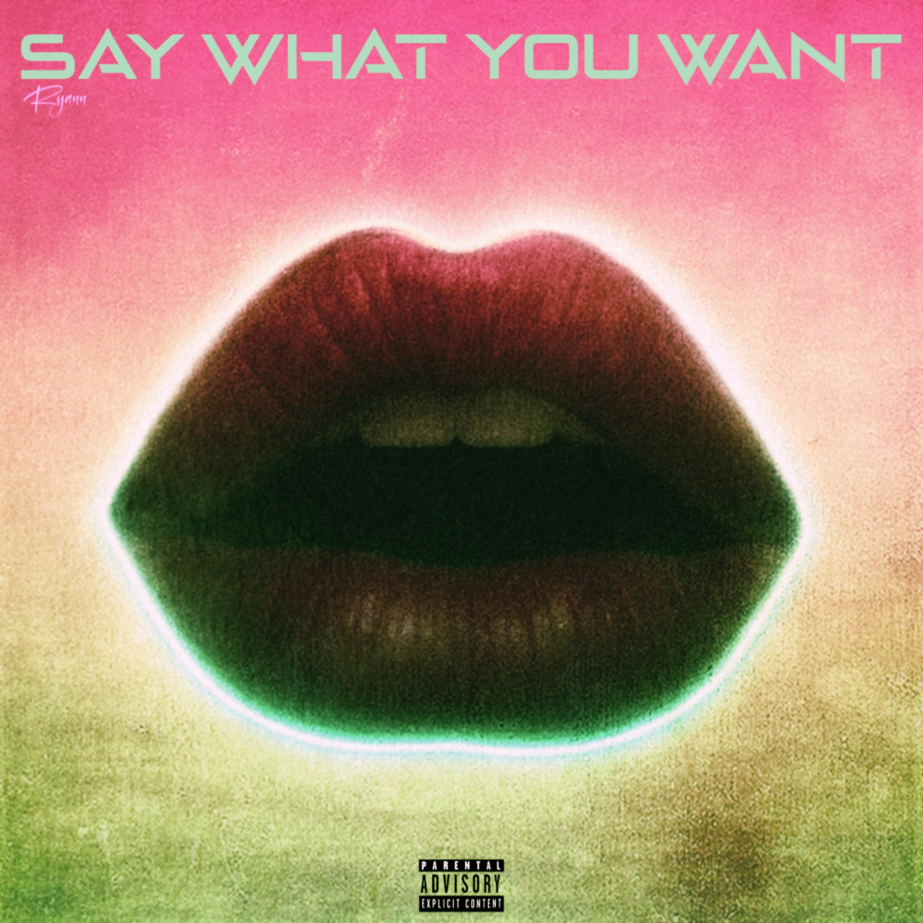 Say What You Want (Deluxe) artwork