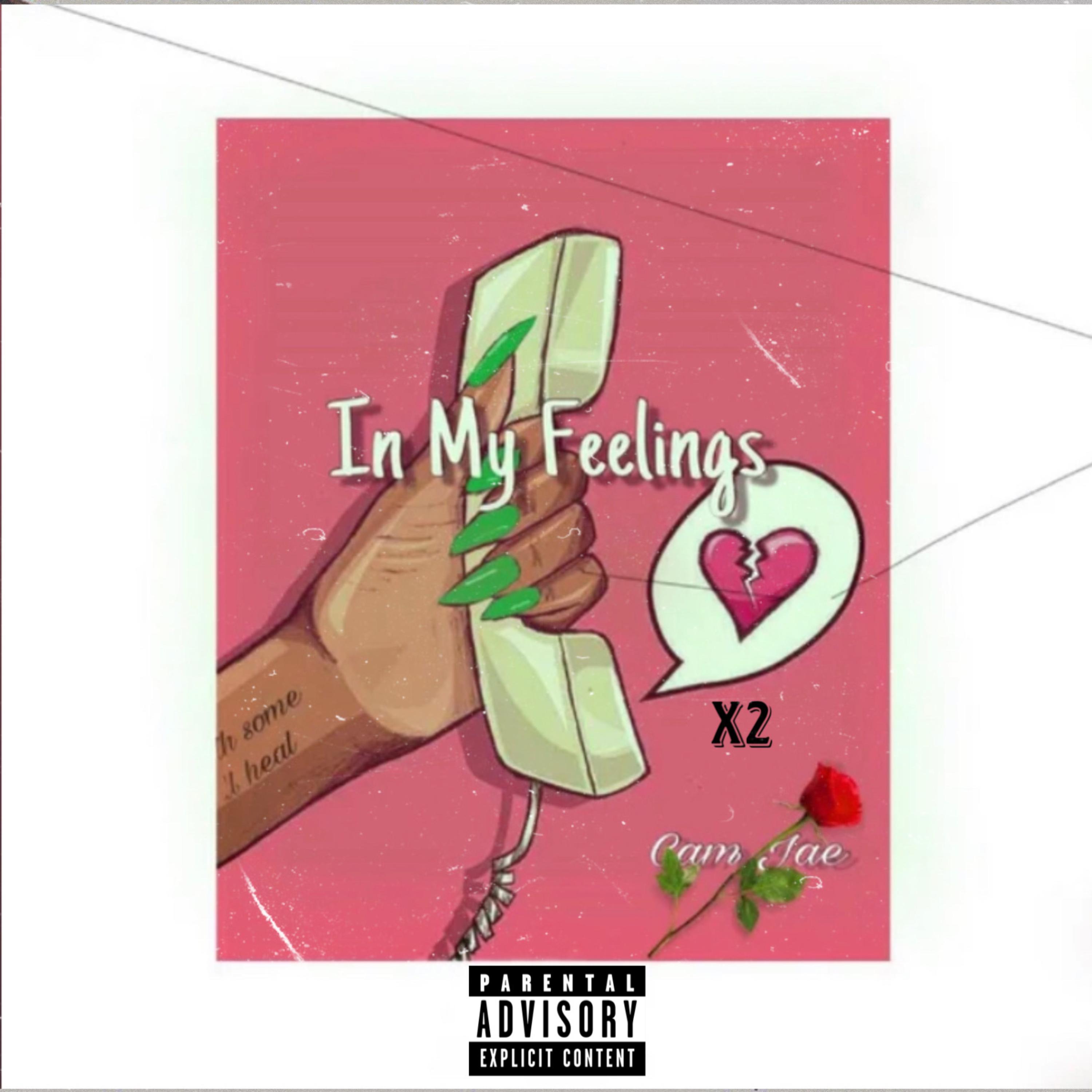In My Feelings X2 artwork