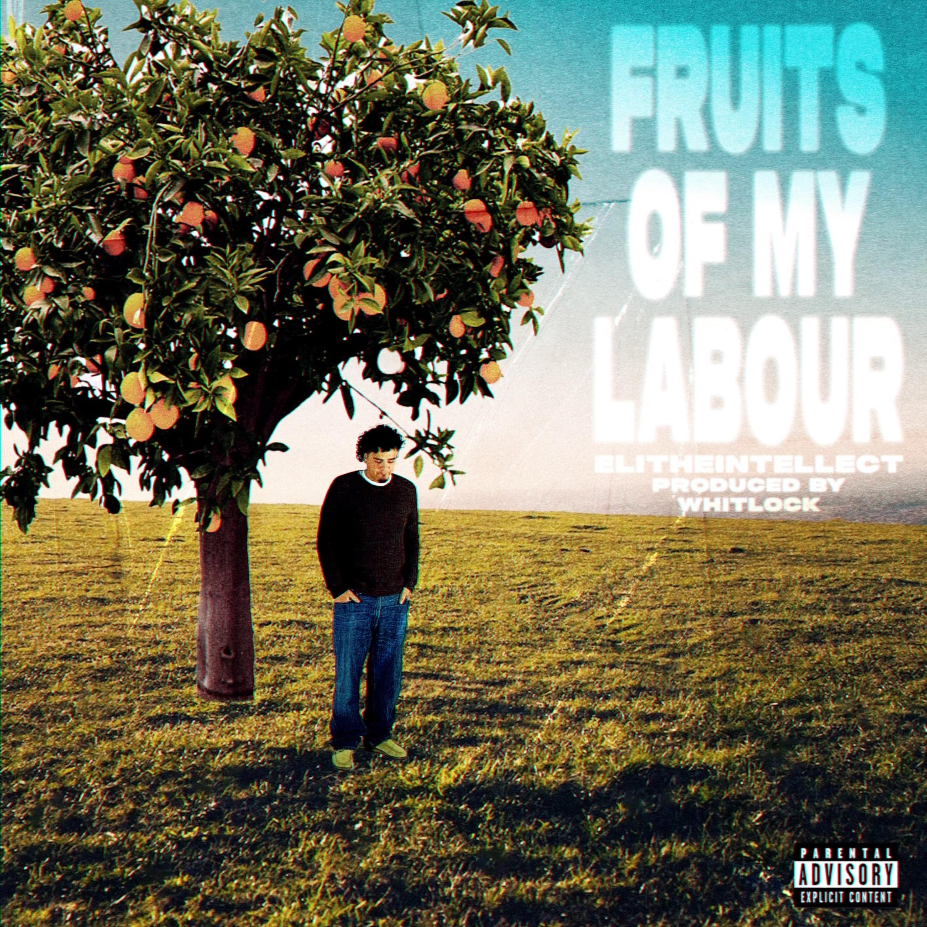 Fruits Of My Labour artwork