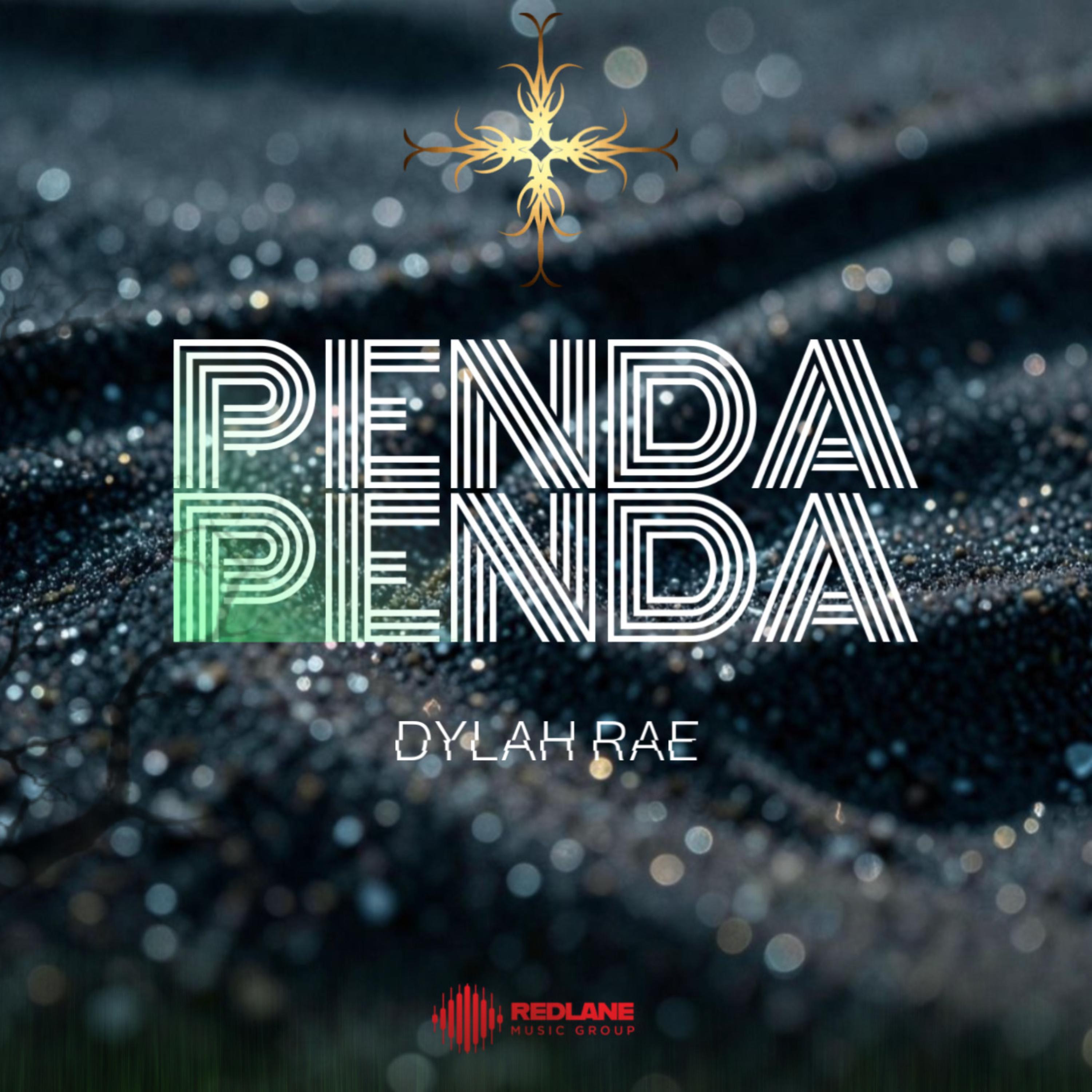 Penda Penda artwork