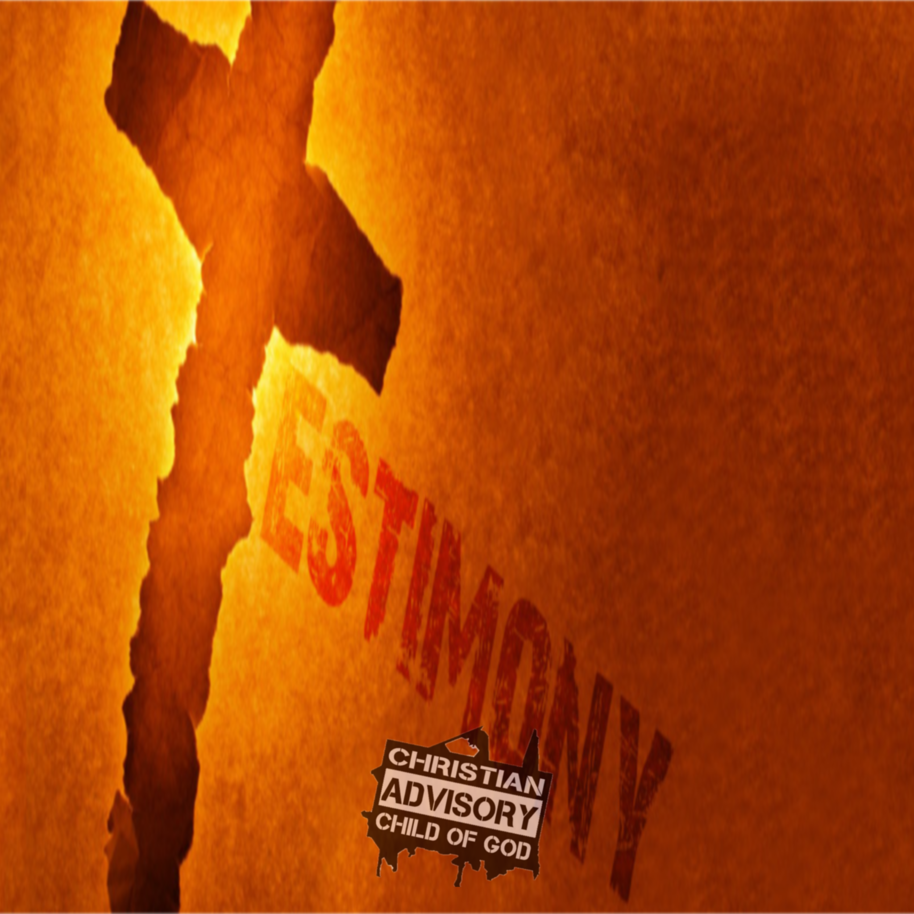 TESTIMONY artwork