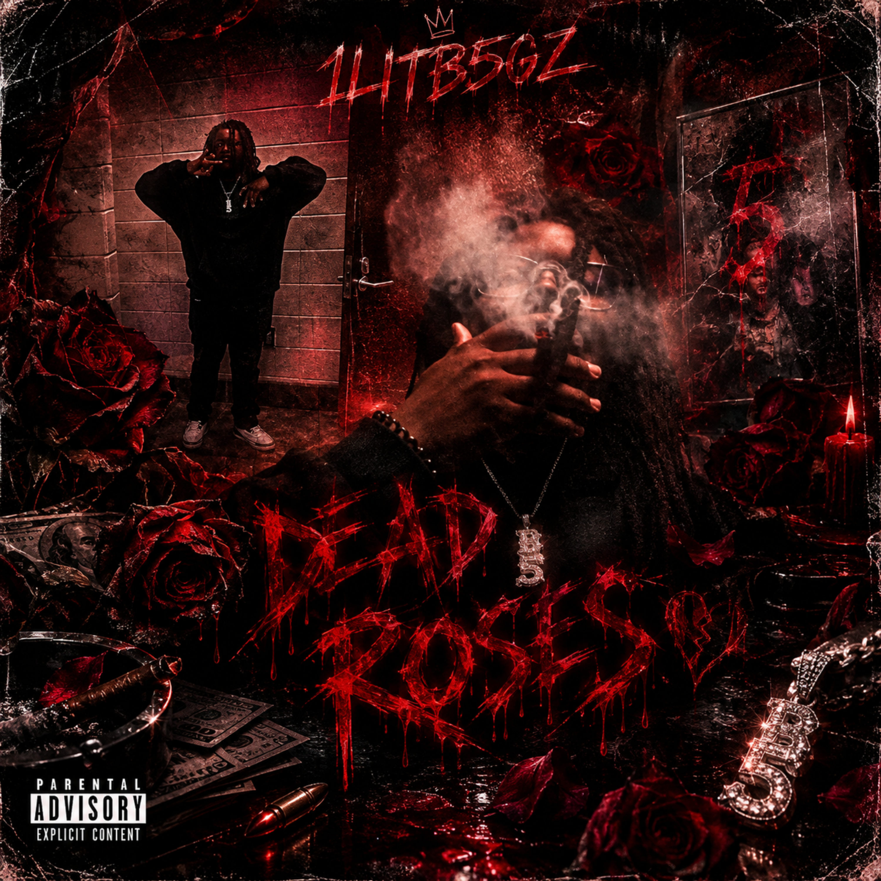 Dead Roses by 1litb5gz cover art