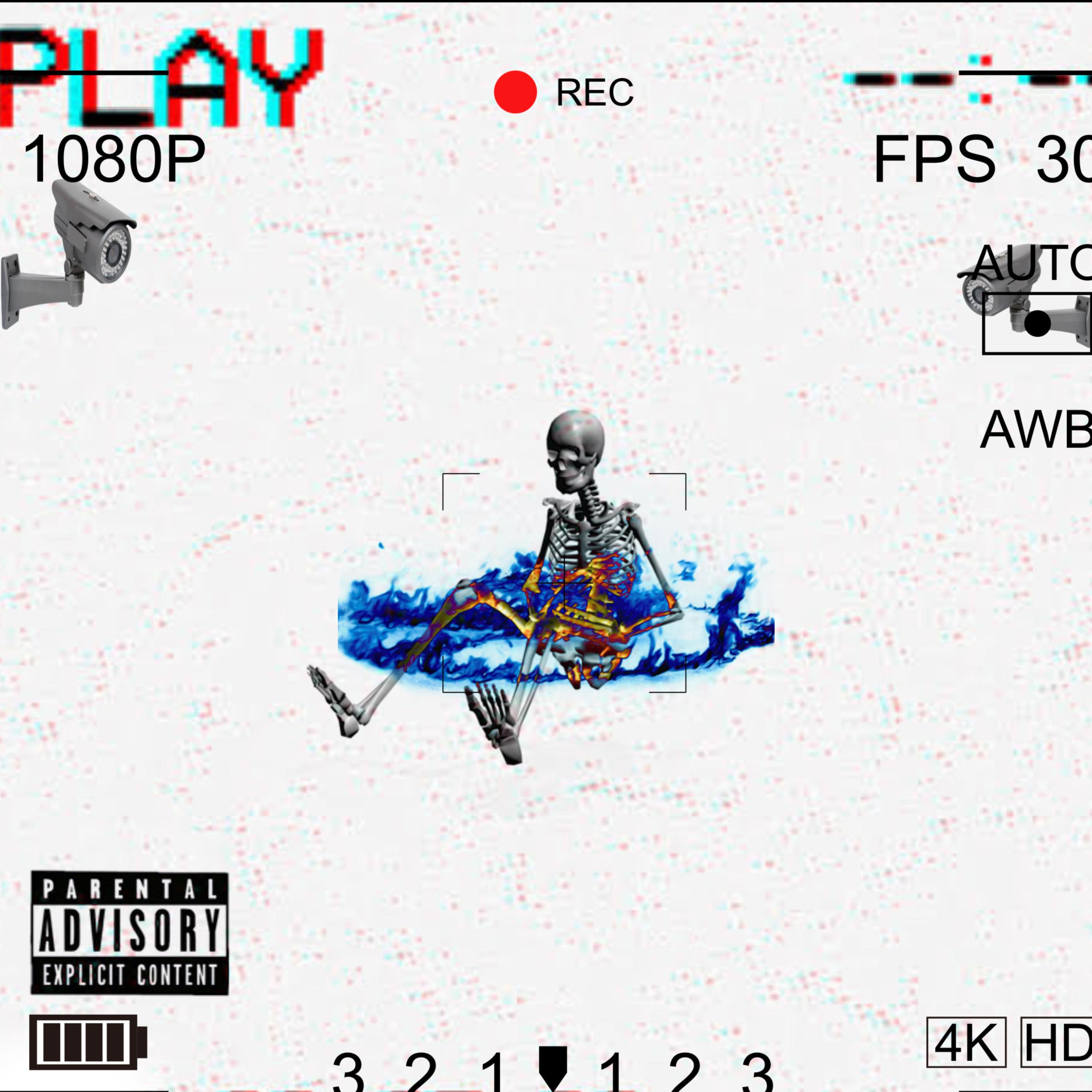 Crowd, Roamer artwork