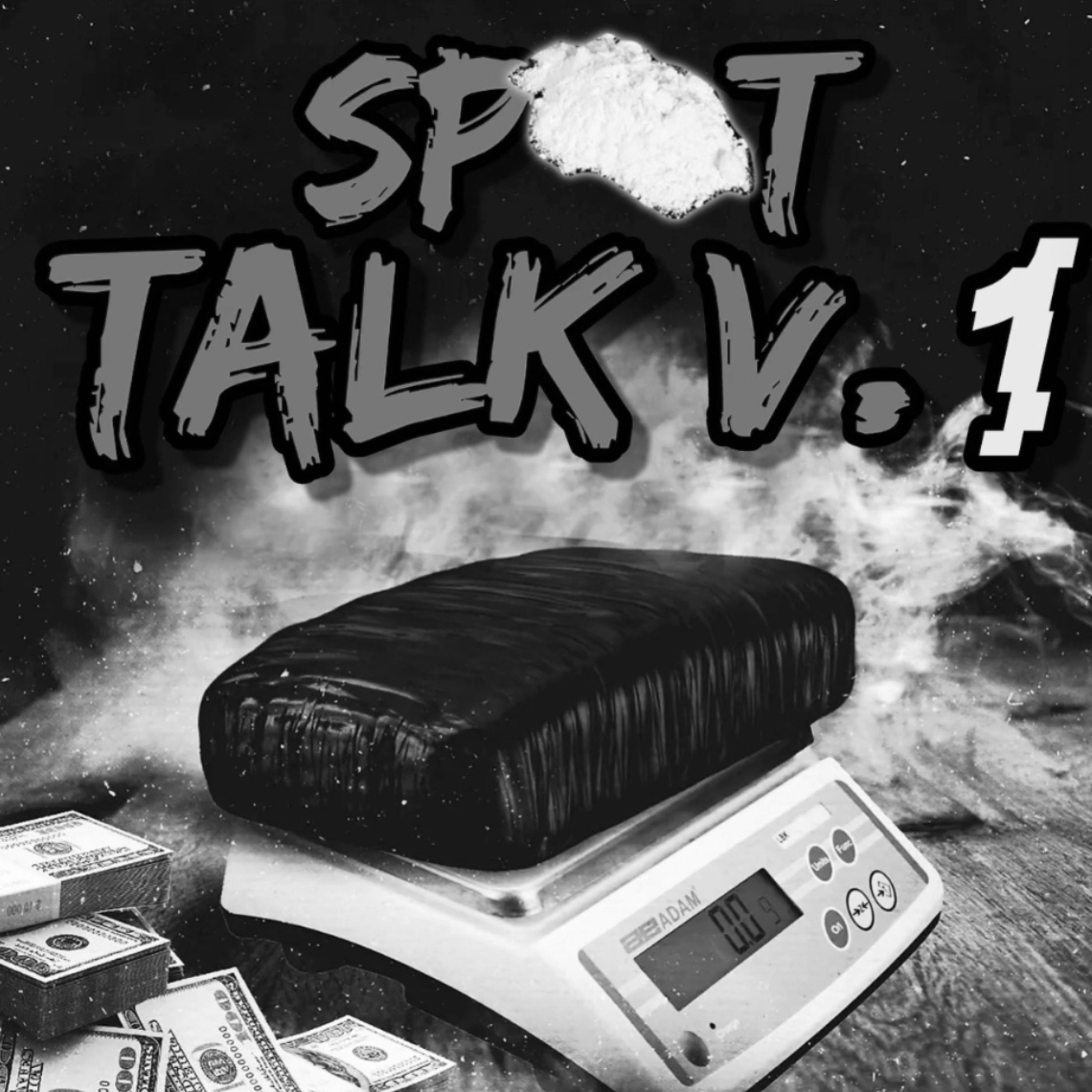 Spot Talk V. 1 artwork
