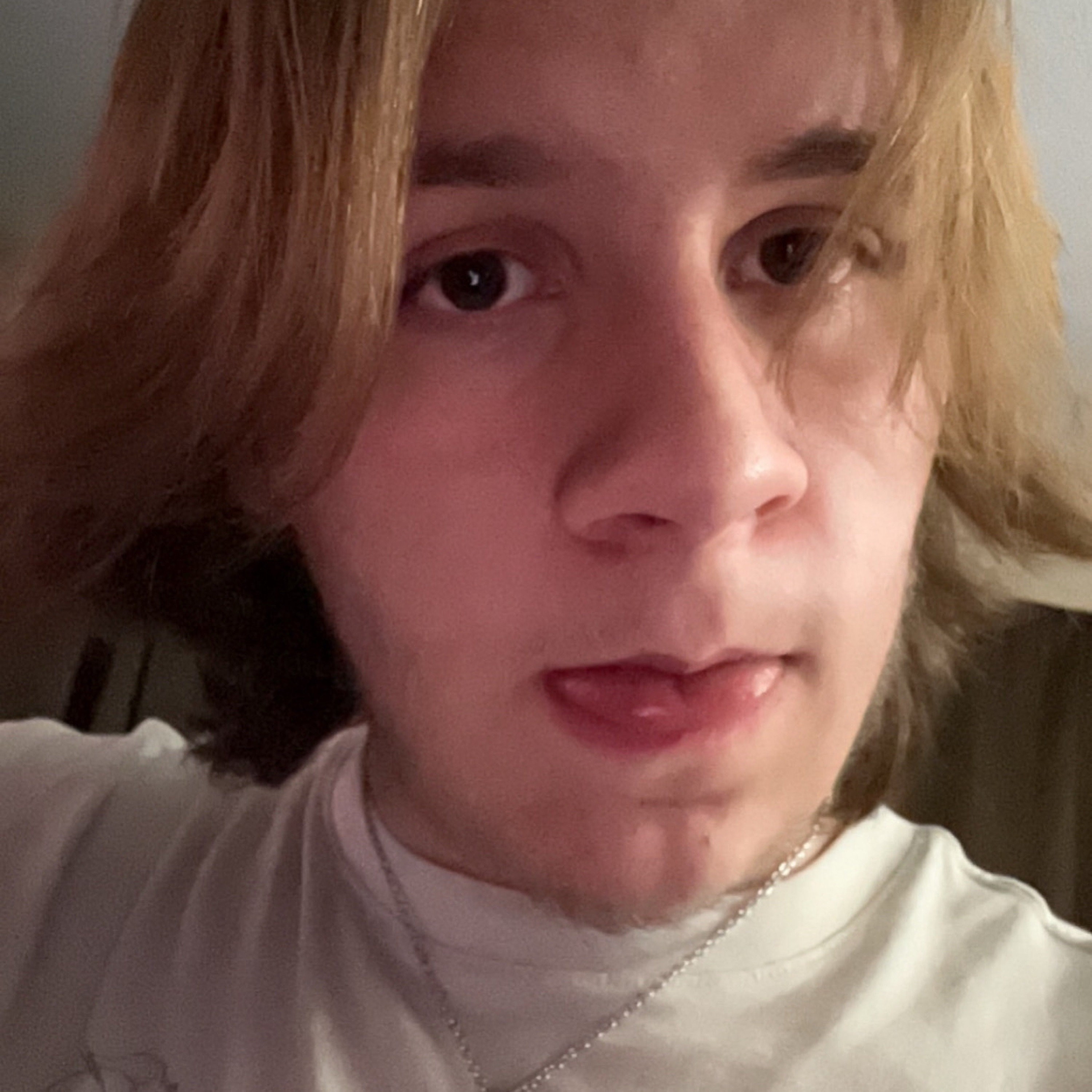 Plaid Octopus Muffins 12" artwork