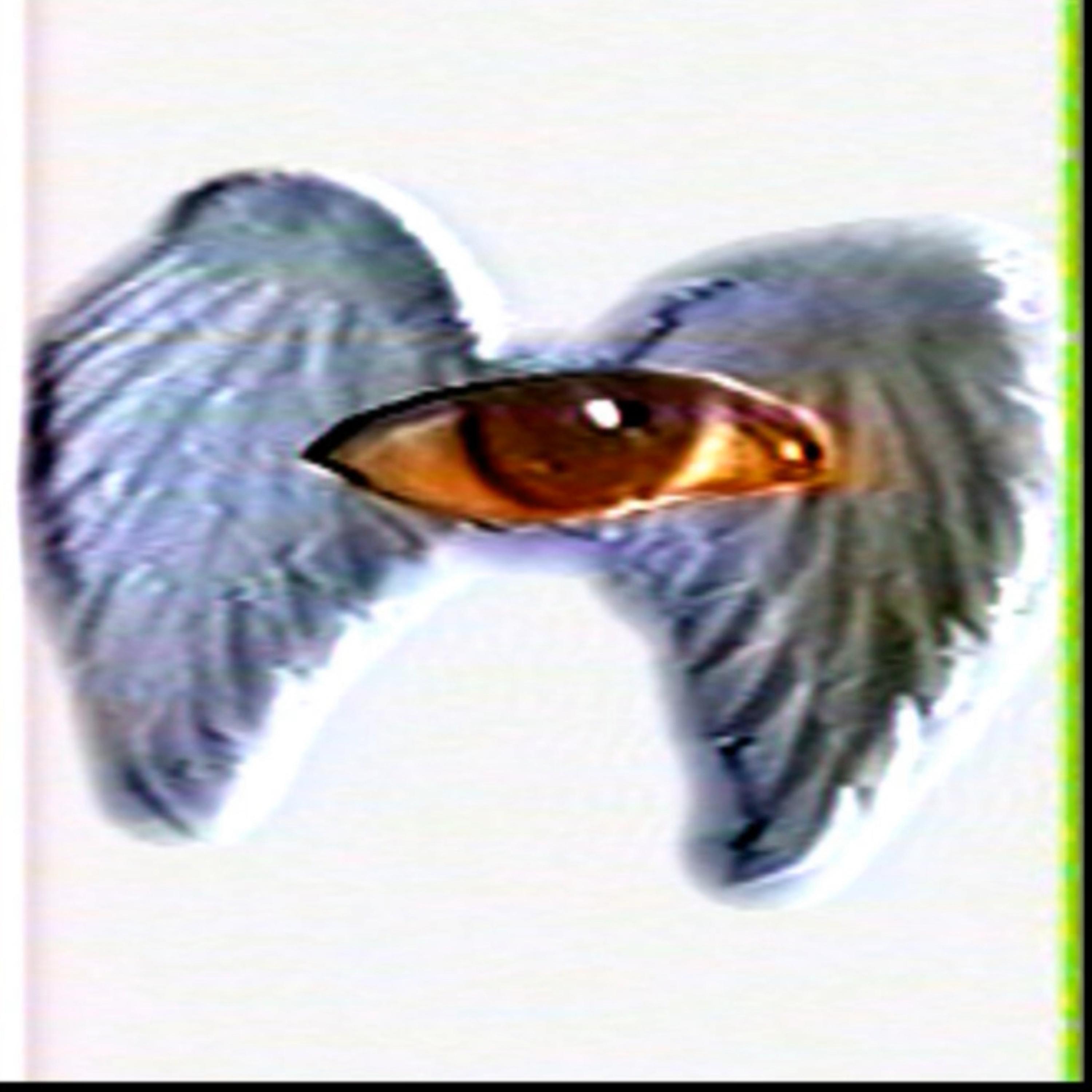 I Blame Myself artwork