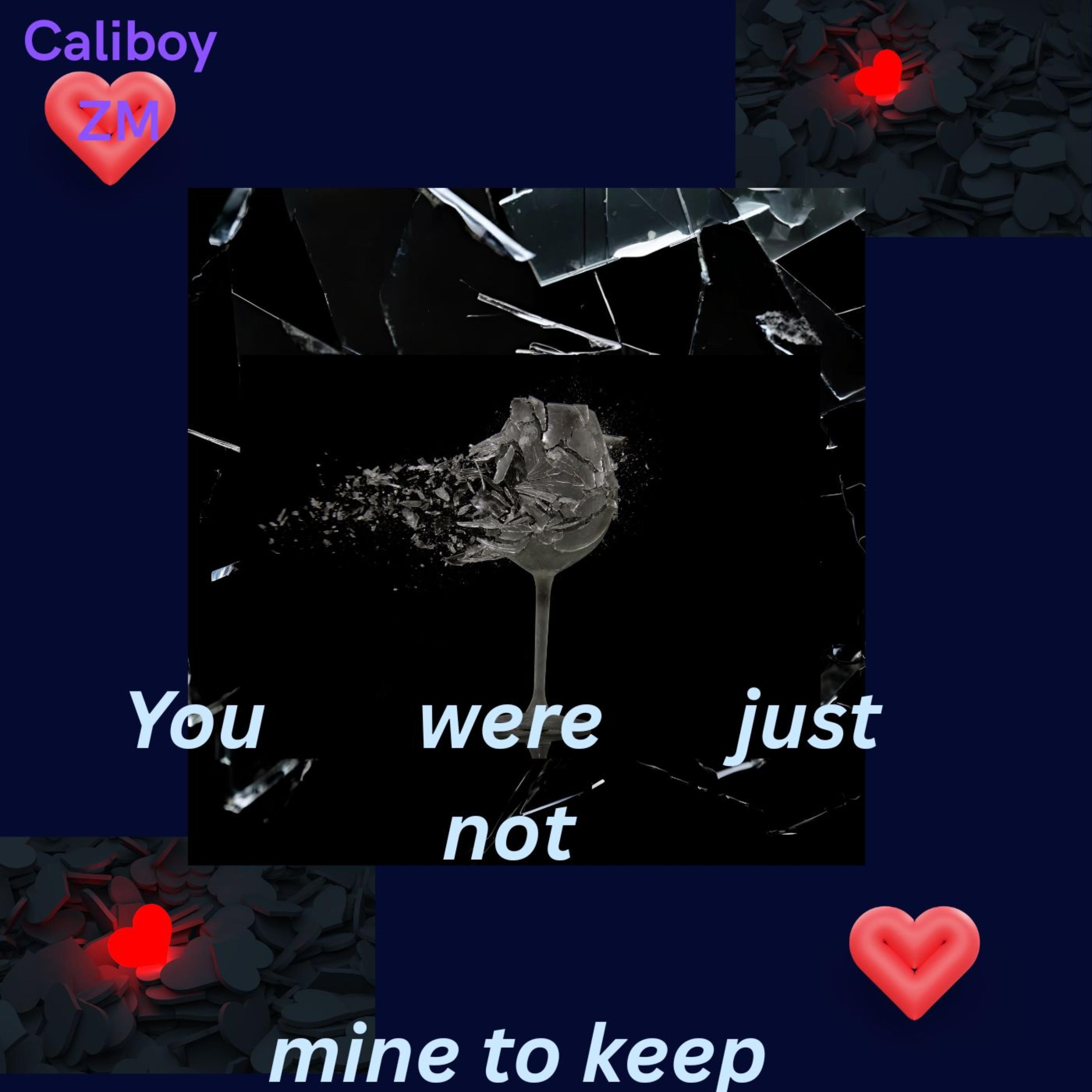 You were just not mine to keep by Caliboy ZM cover art