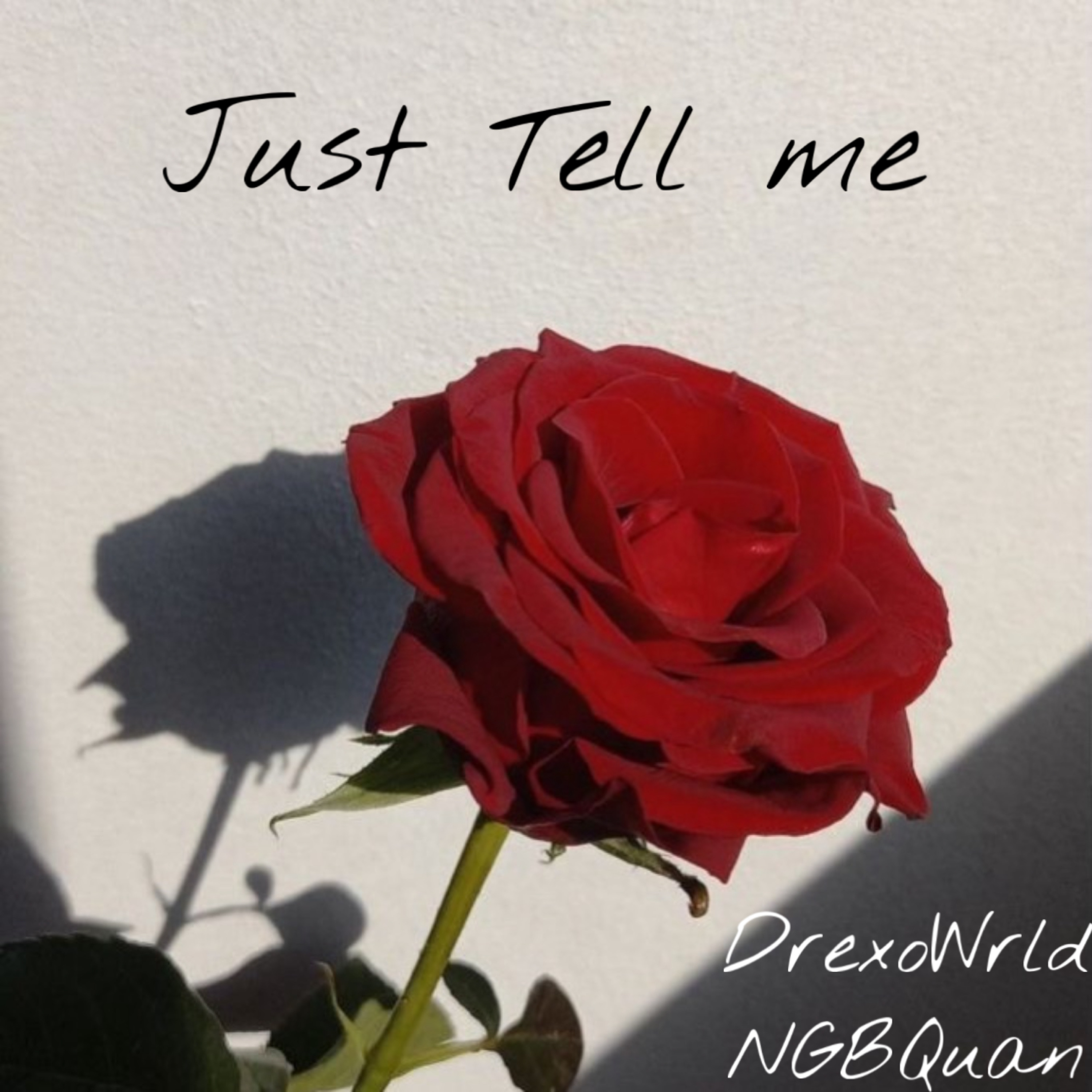Just Tell Me artwork