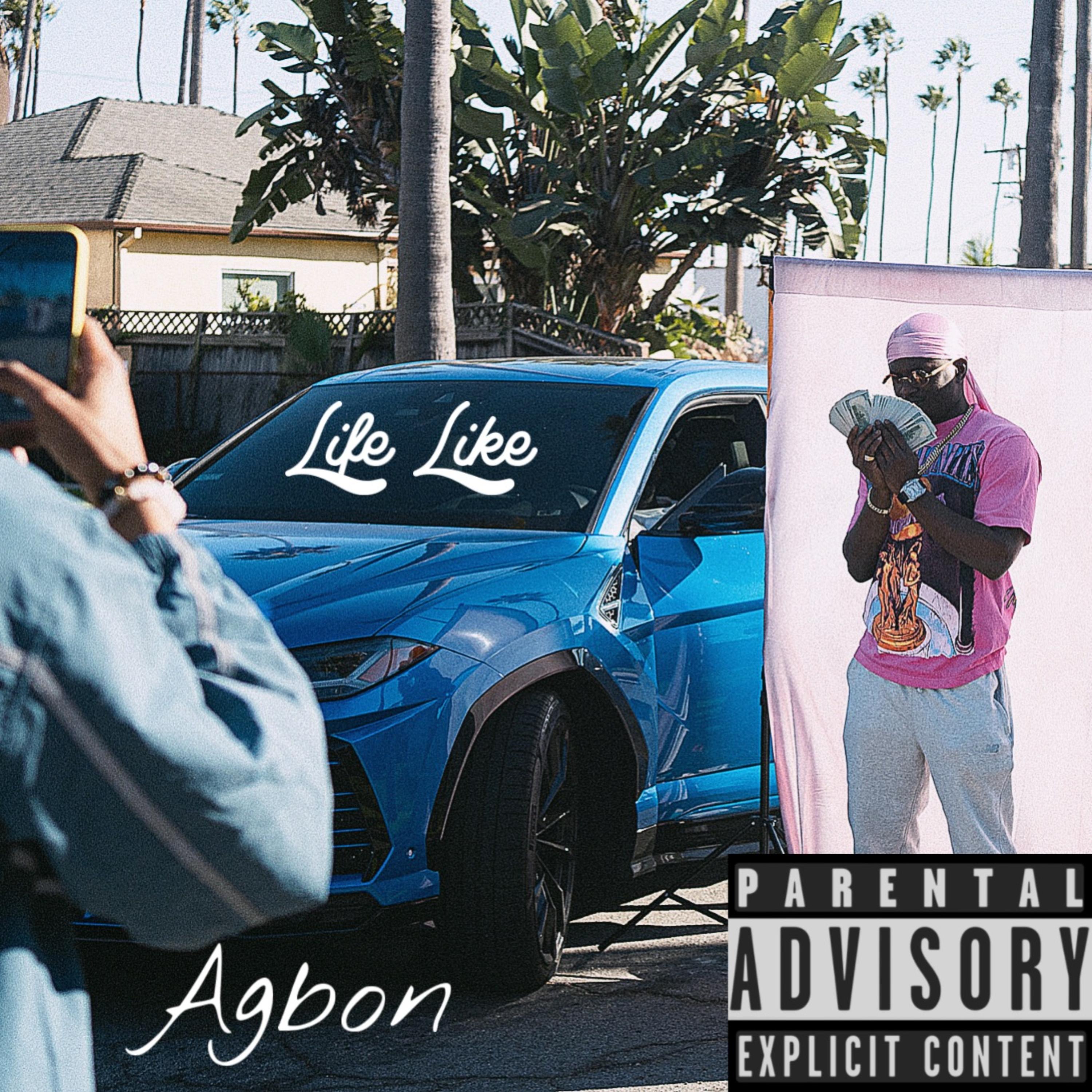 Life Like artwork