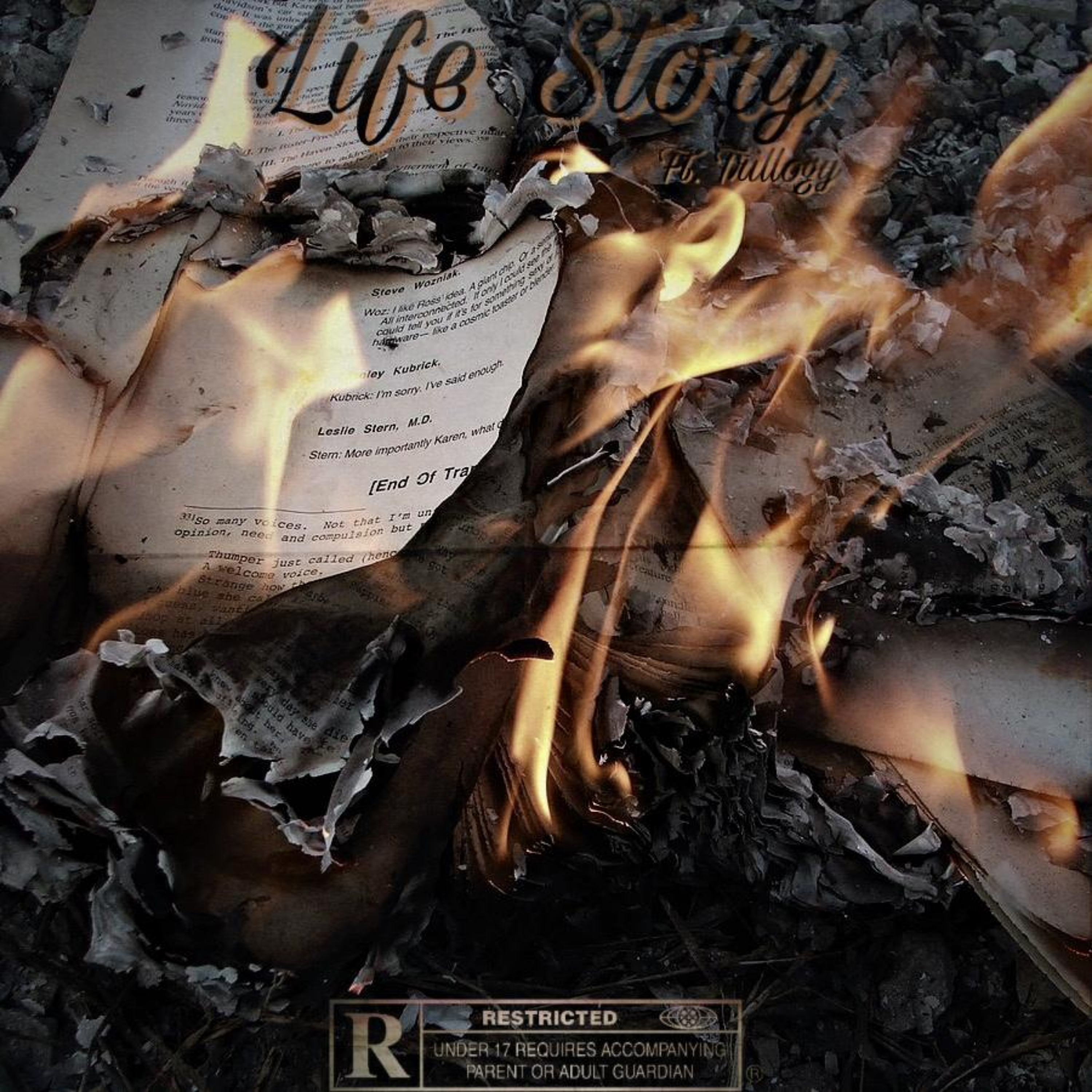 Life Story artwork