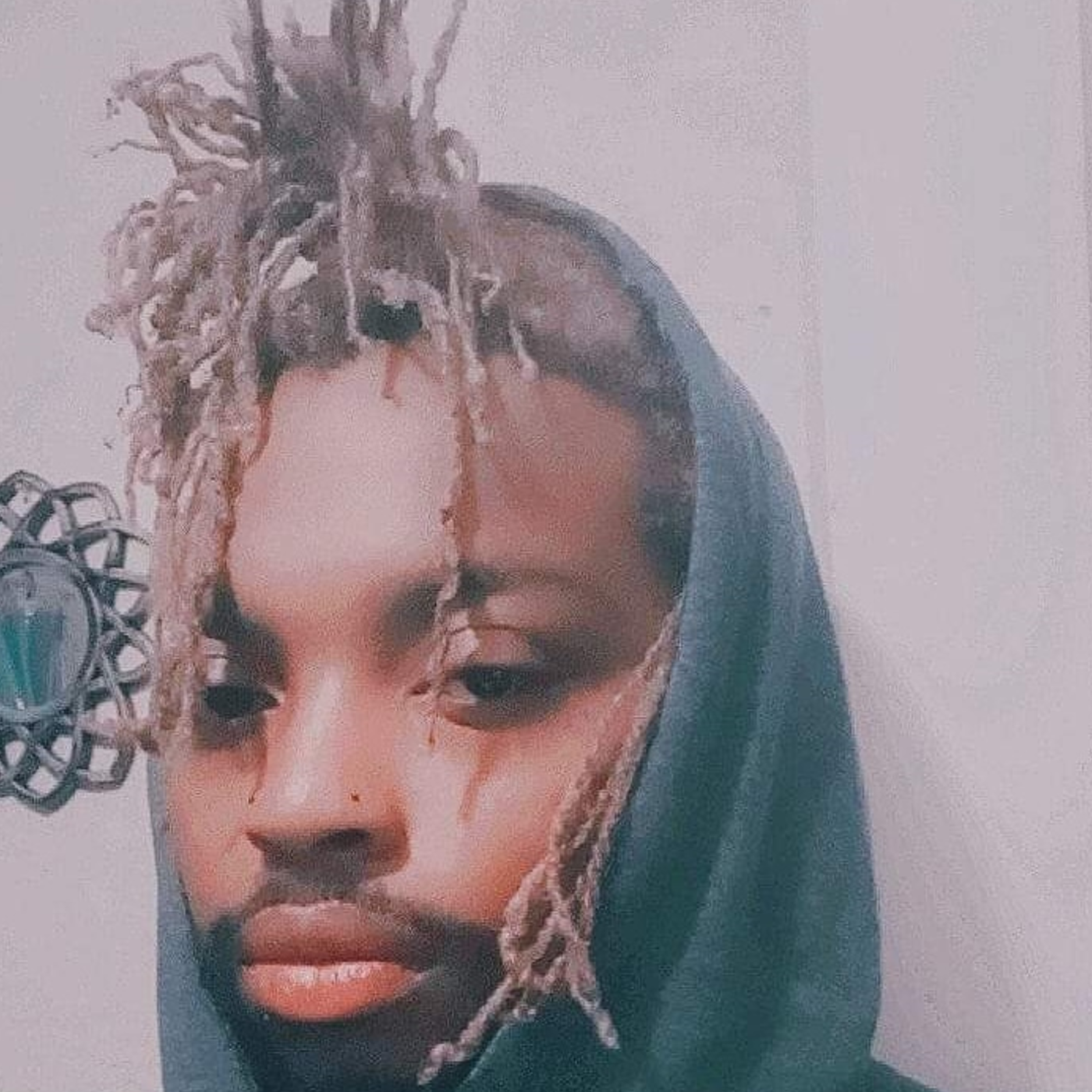 PURPLE DRAGON  artwork