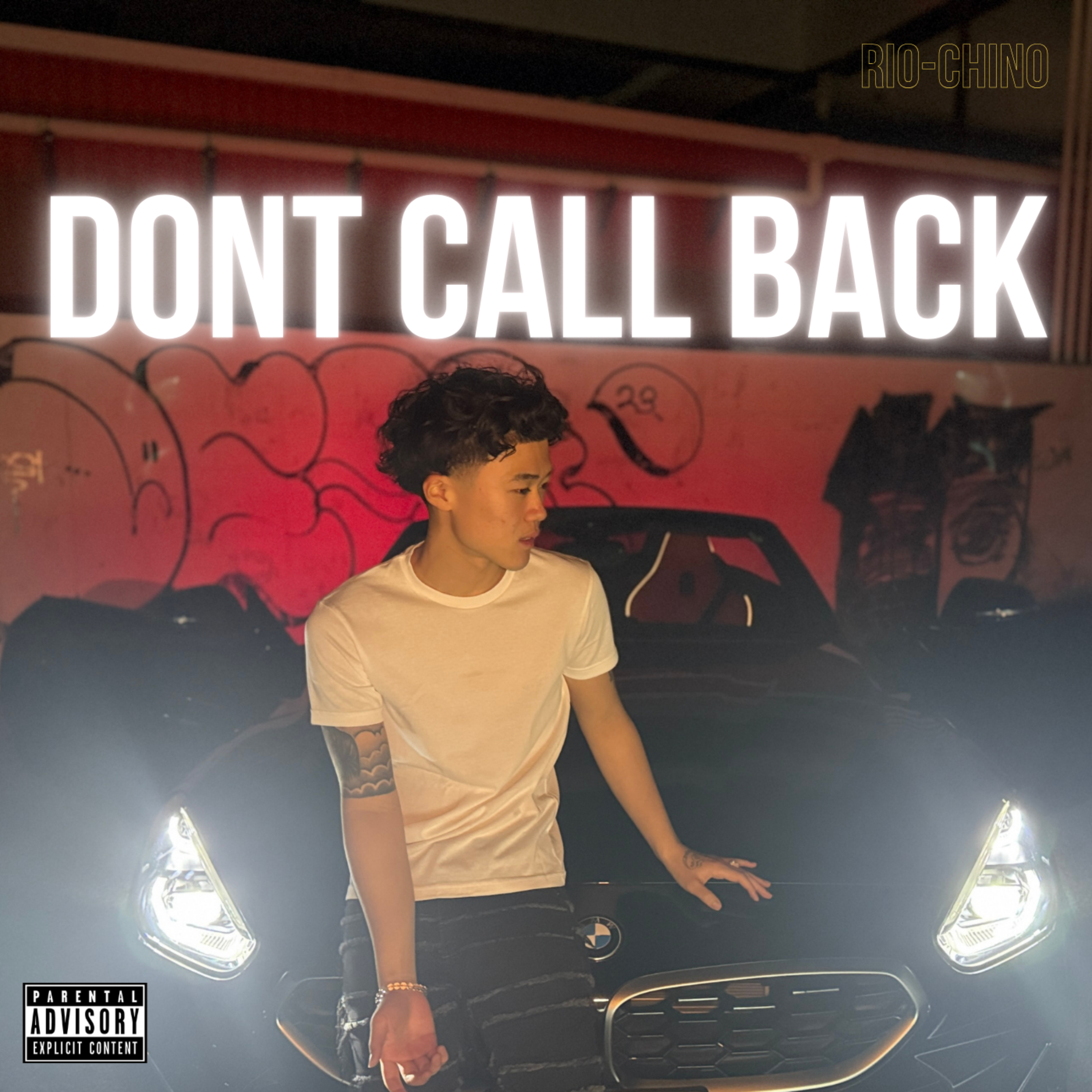 Don't Call Back artwork