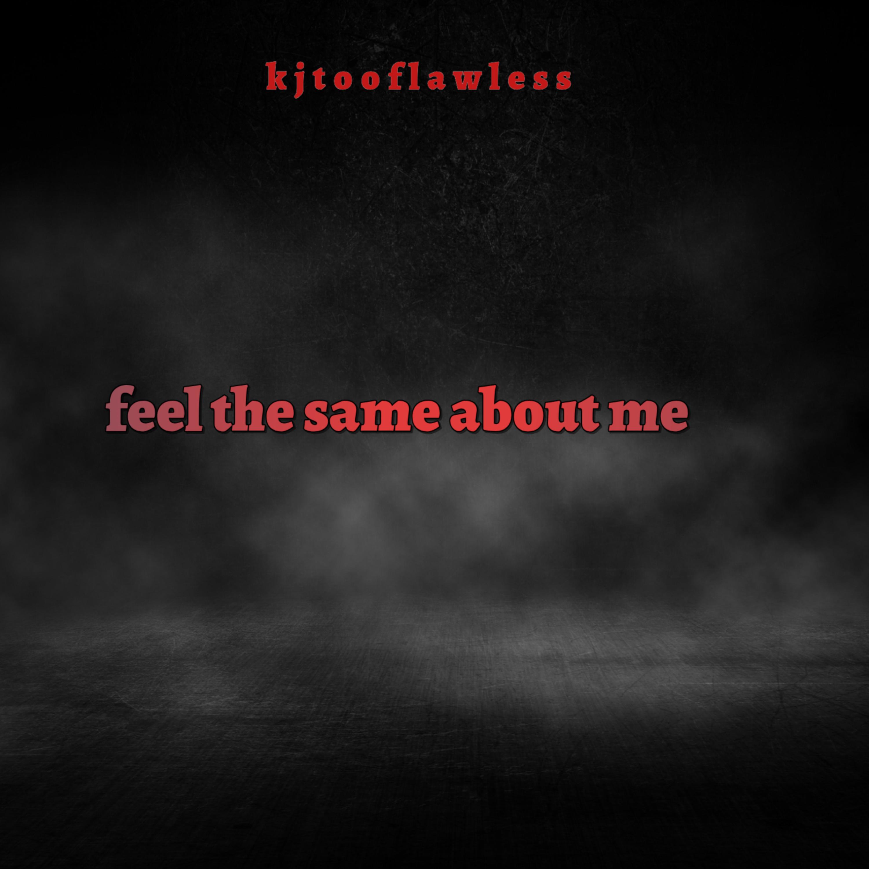 ftsam (feel the same about me) artwork