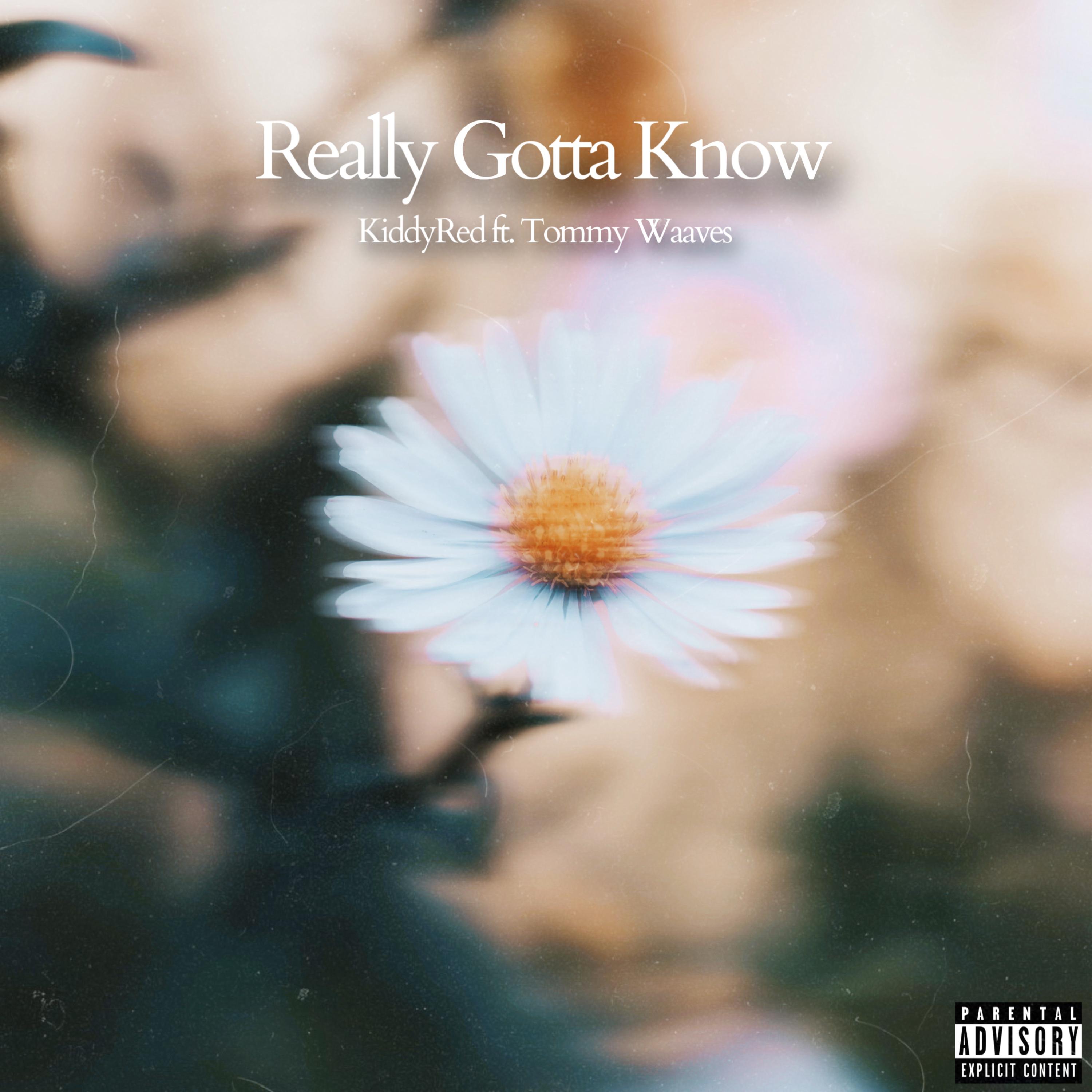 REALLY GOTTA KNOW artwork