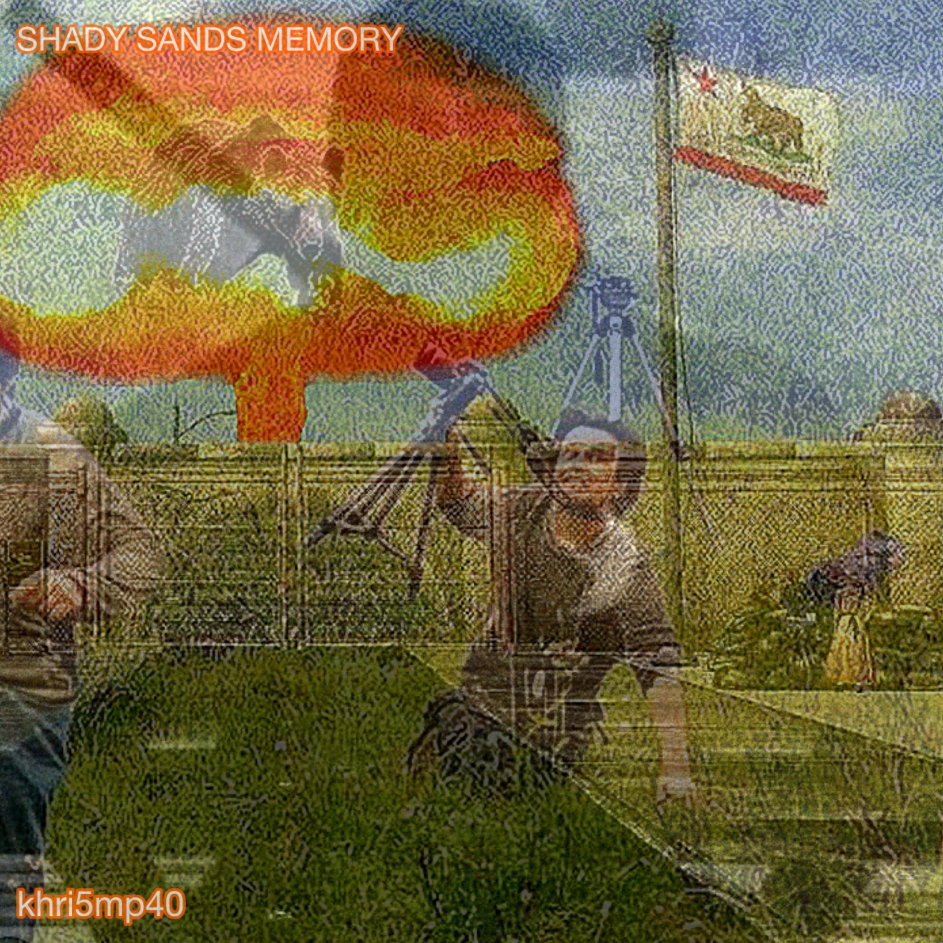 SHADY SANDS MEMORY artwork