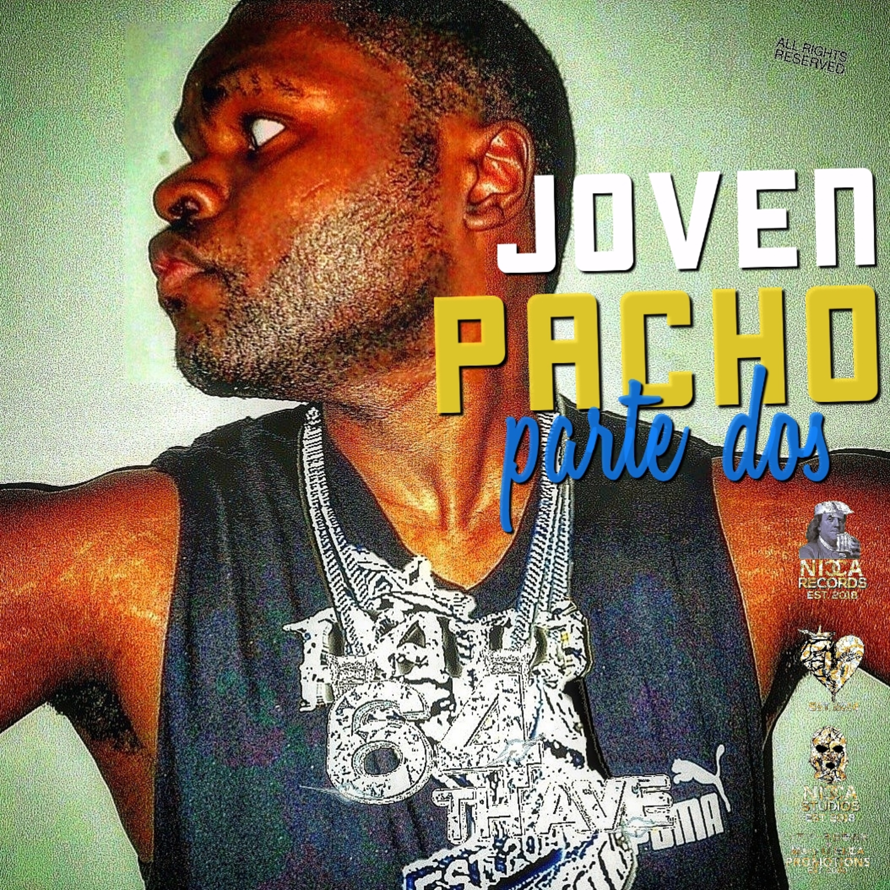 Joven Pacho 2 artwork