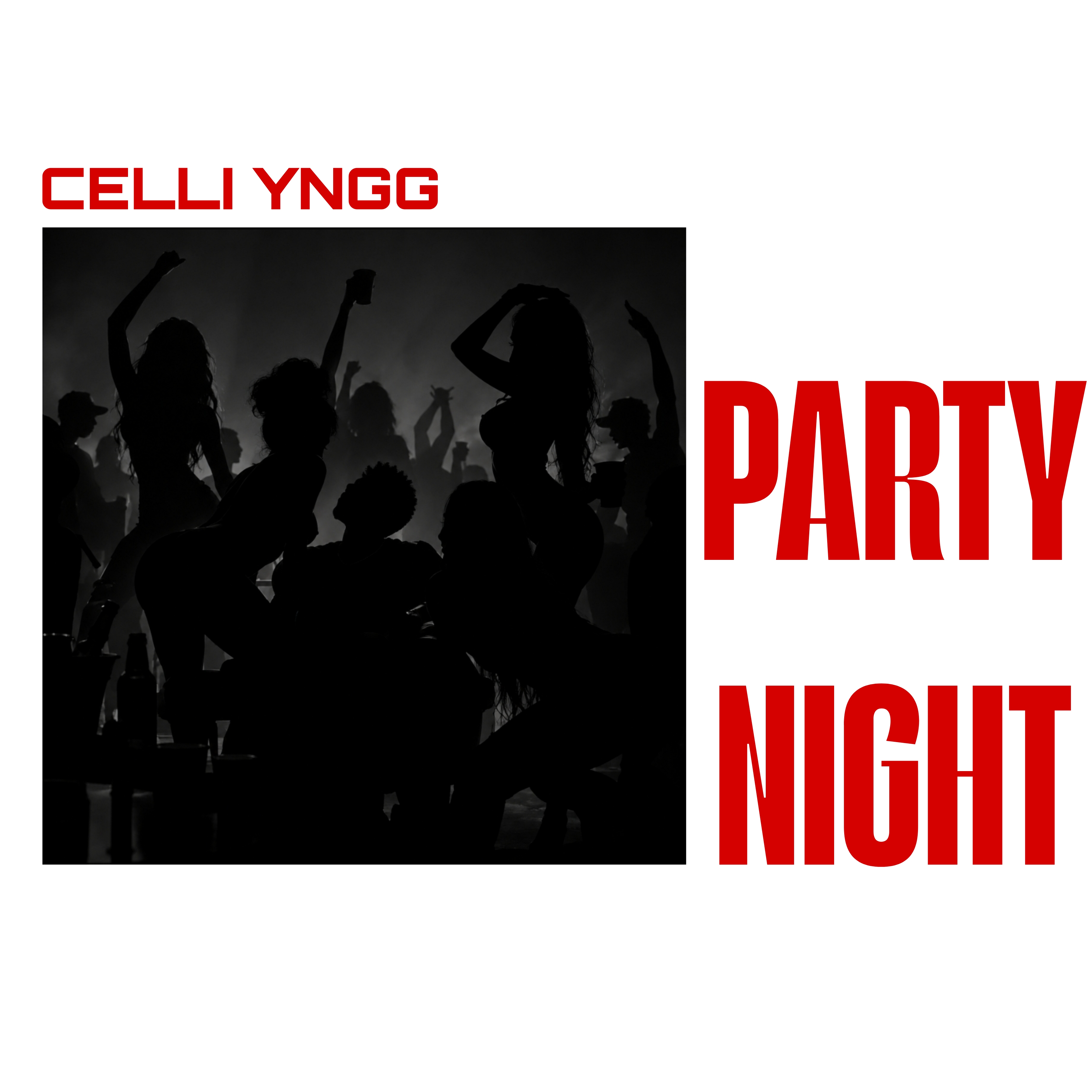 Party Night by Celli yngg cover art