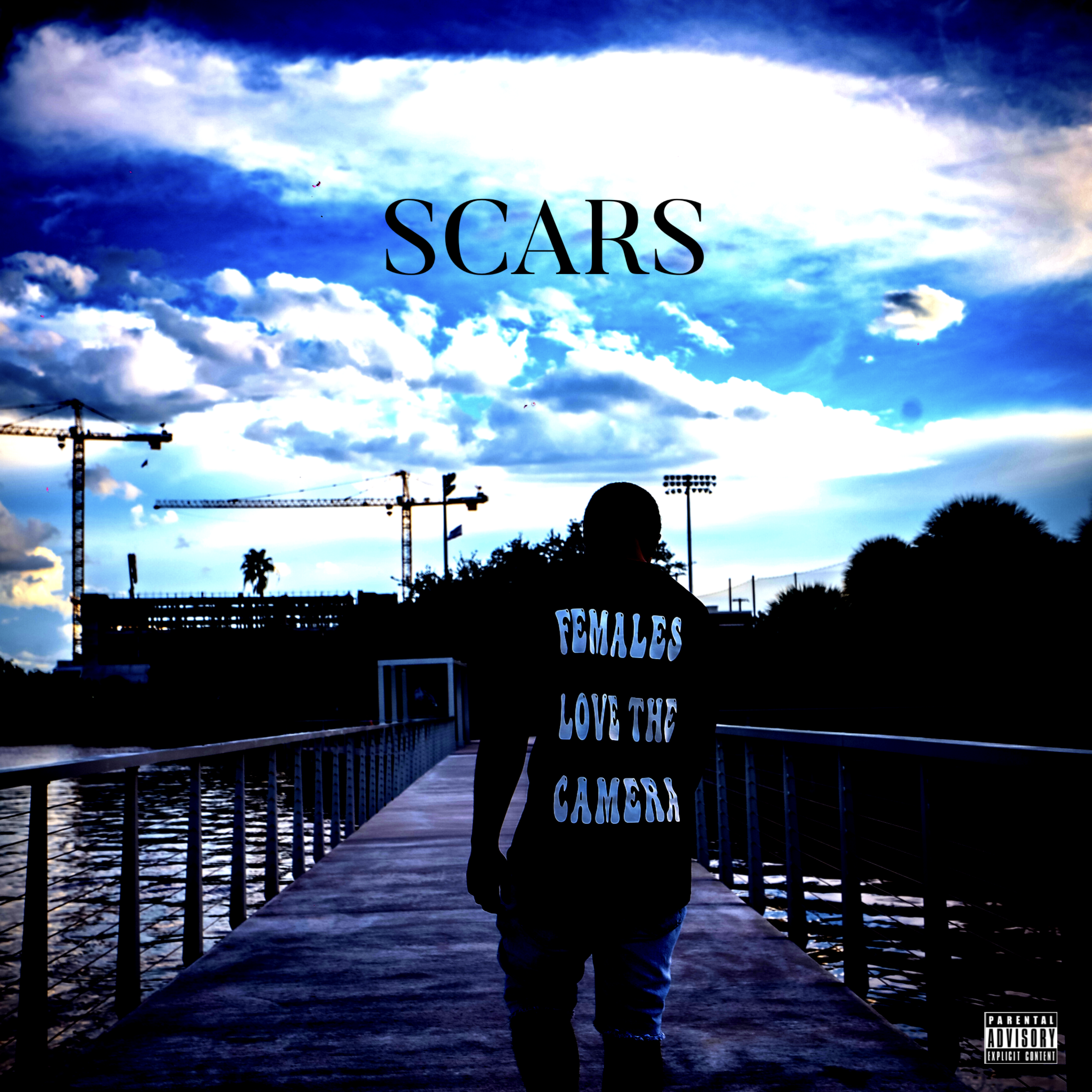 Scars by SwayJay From The Bay cover art
