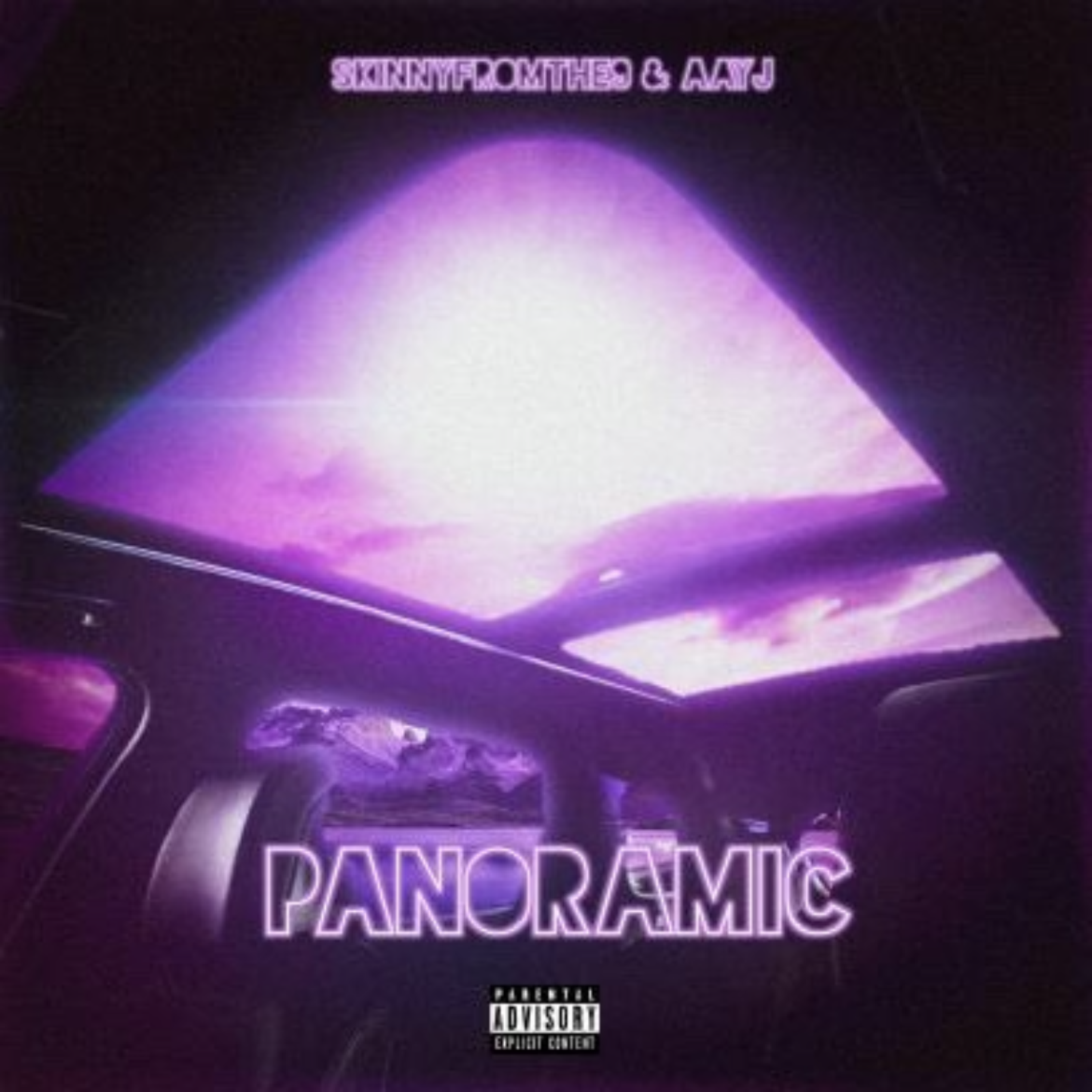 Panormaic artwork