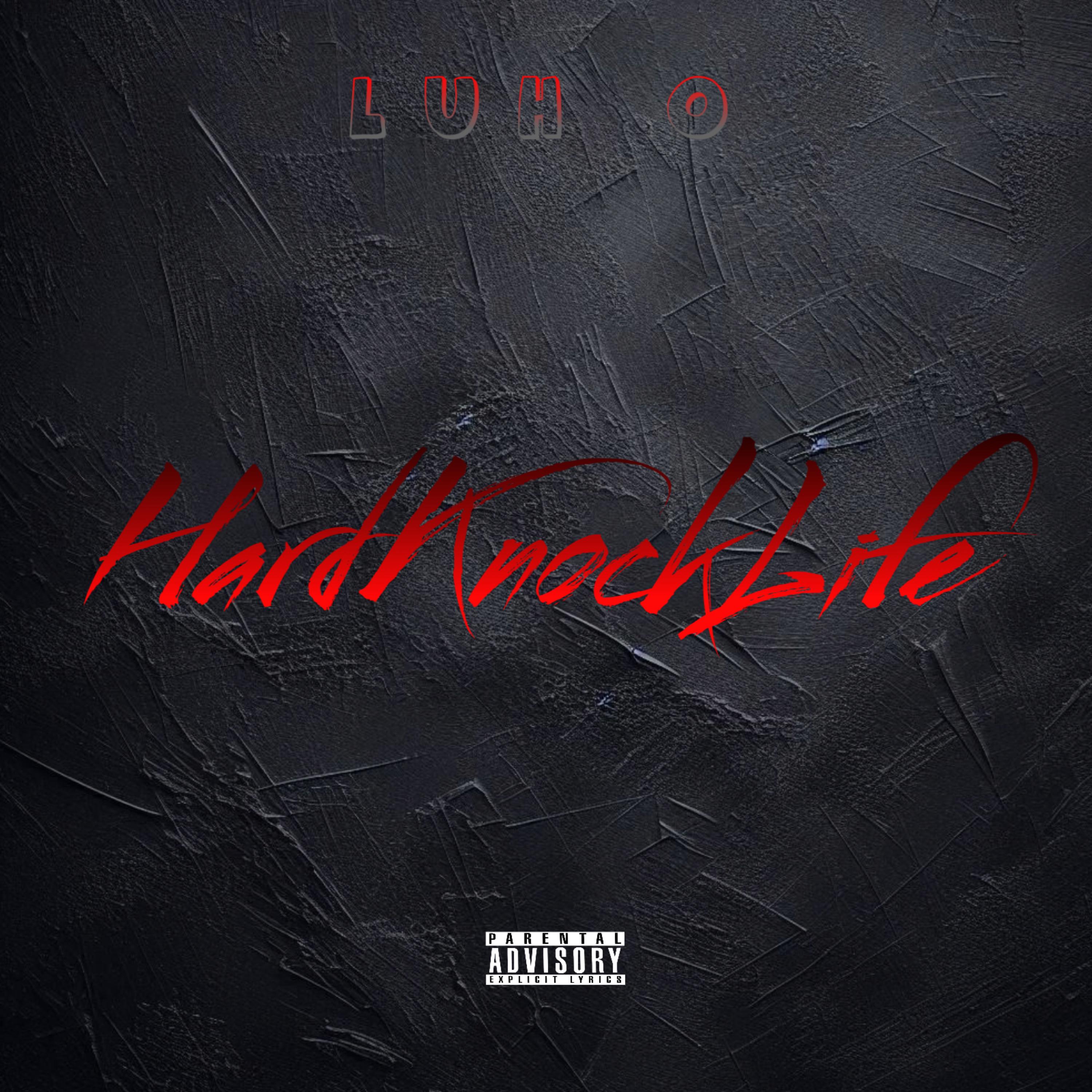 HardKnockLife artwork