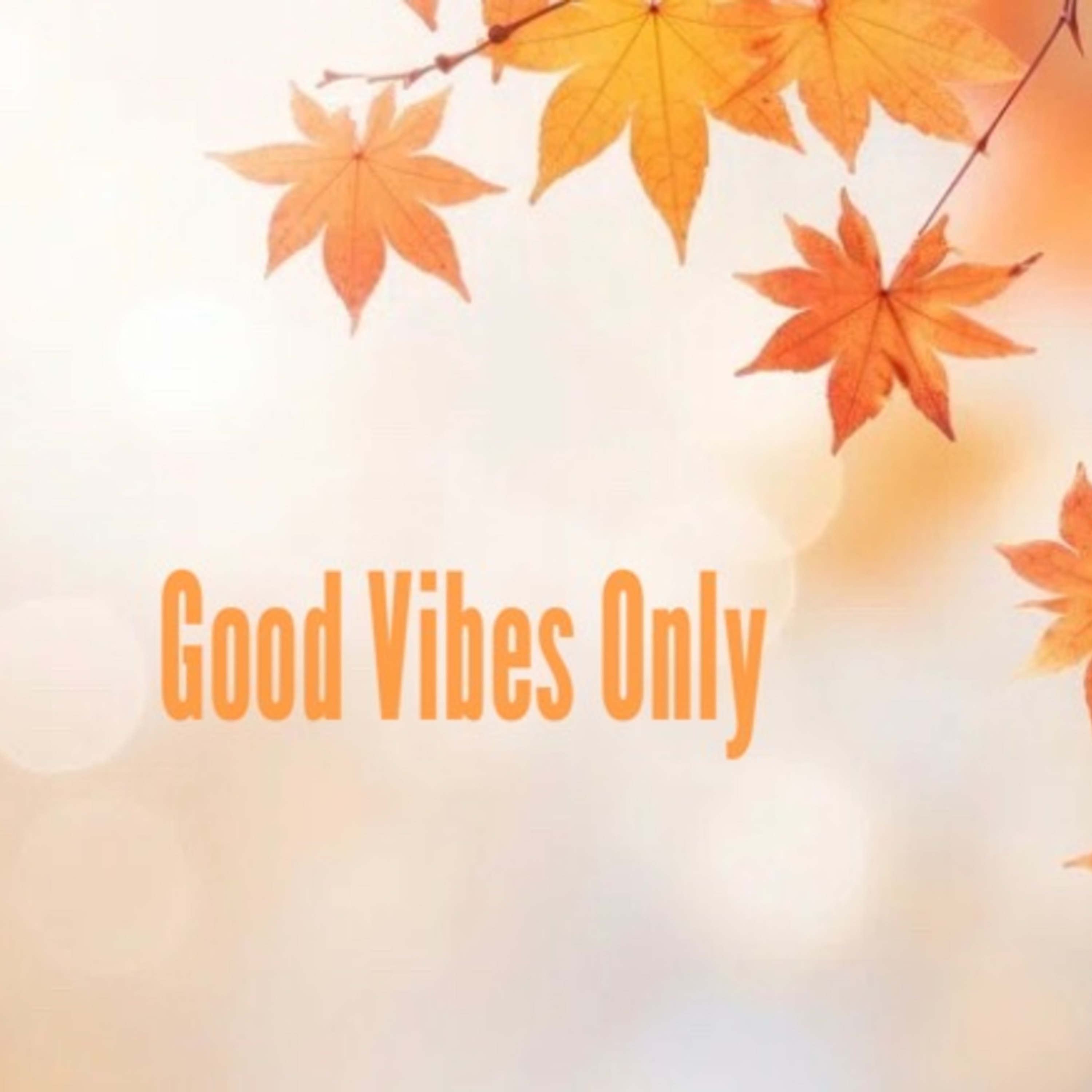 Good Vibes Only artwork
