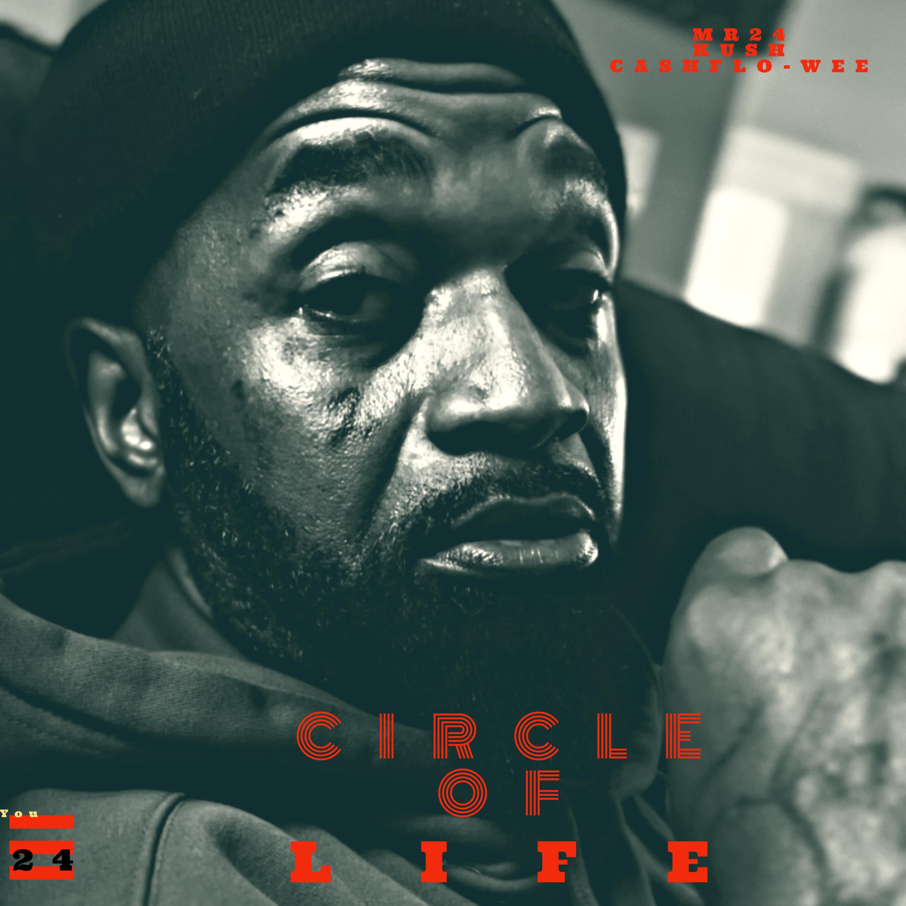 CIRCLE OF LIFE artwork