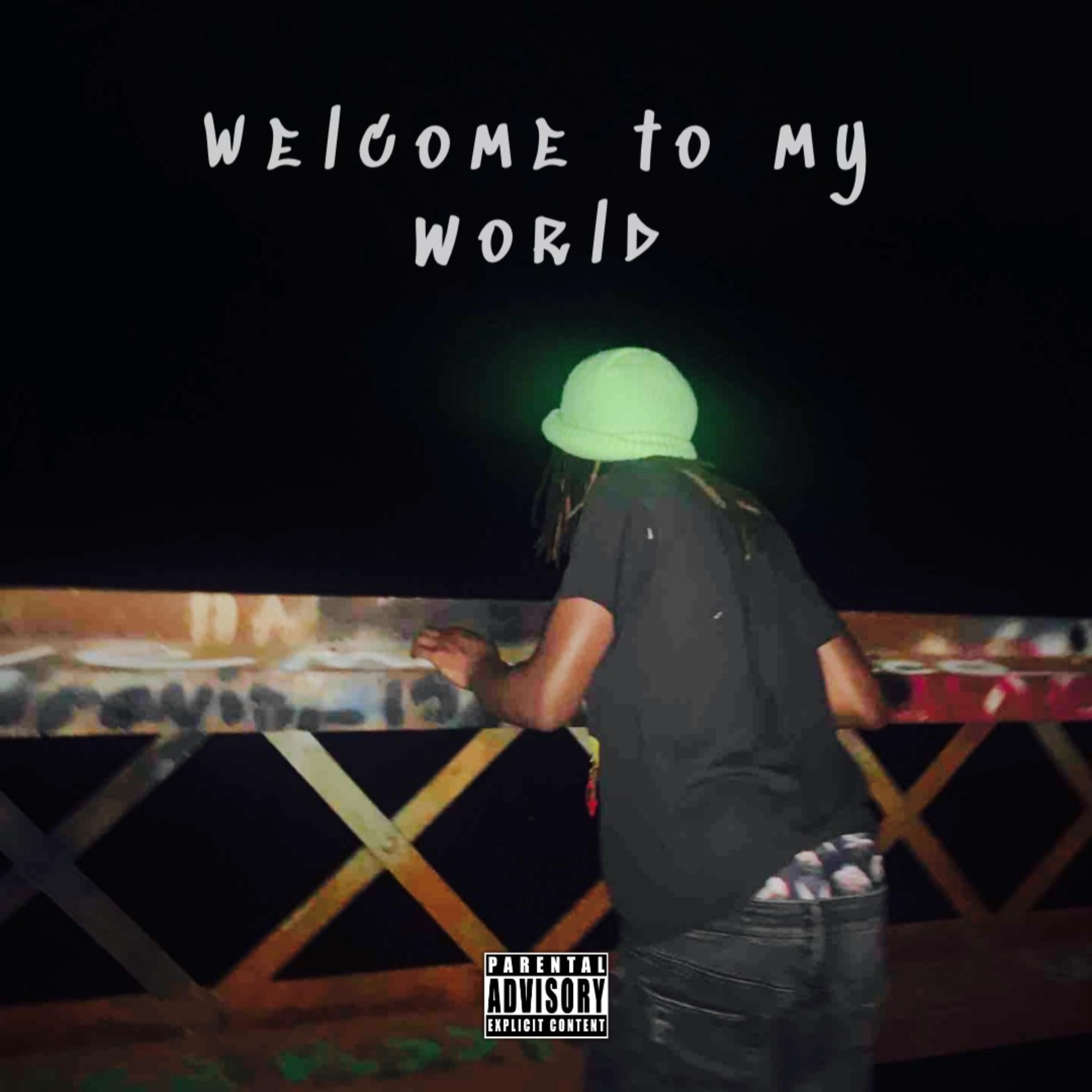 Welcome To My World artwork