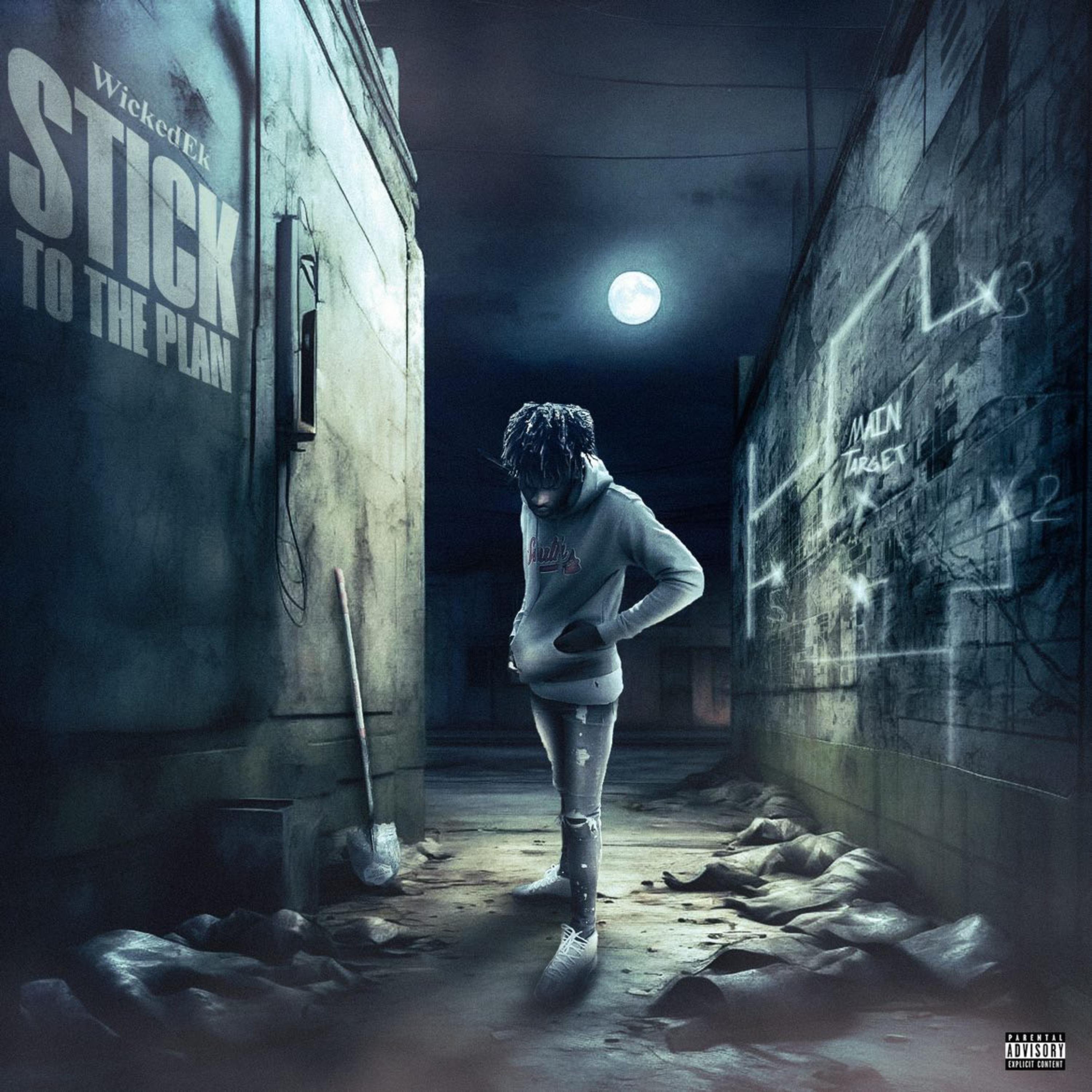 Stick To The Plan artwork