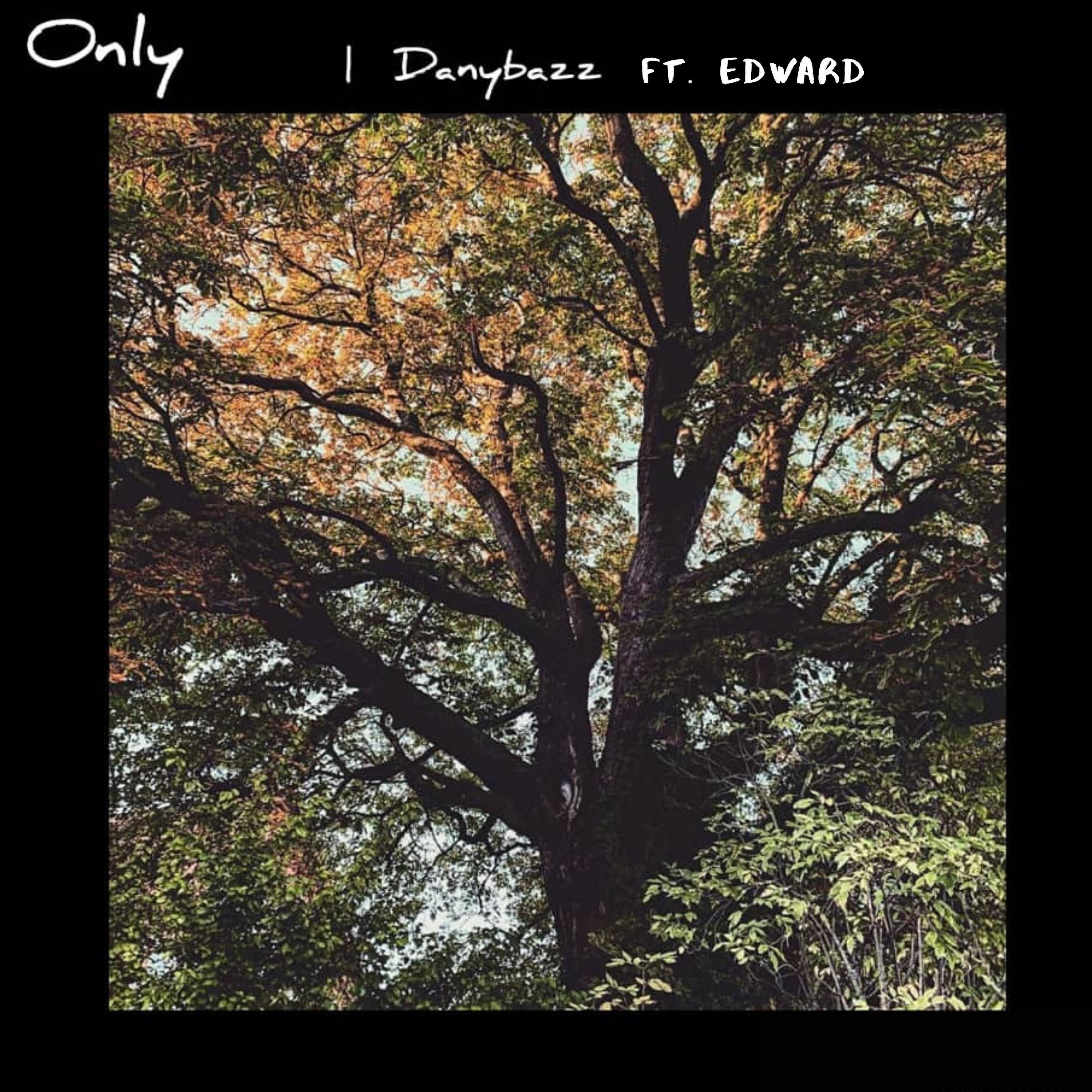Only artwork