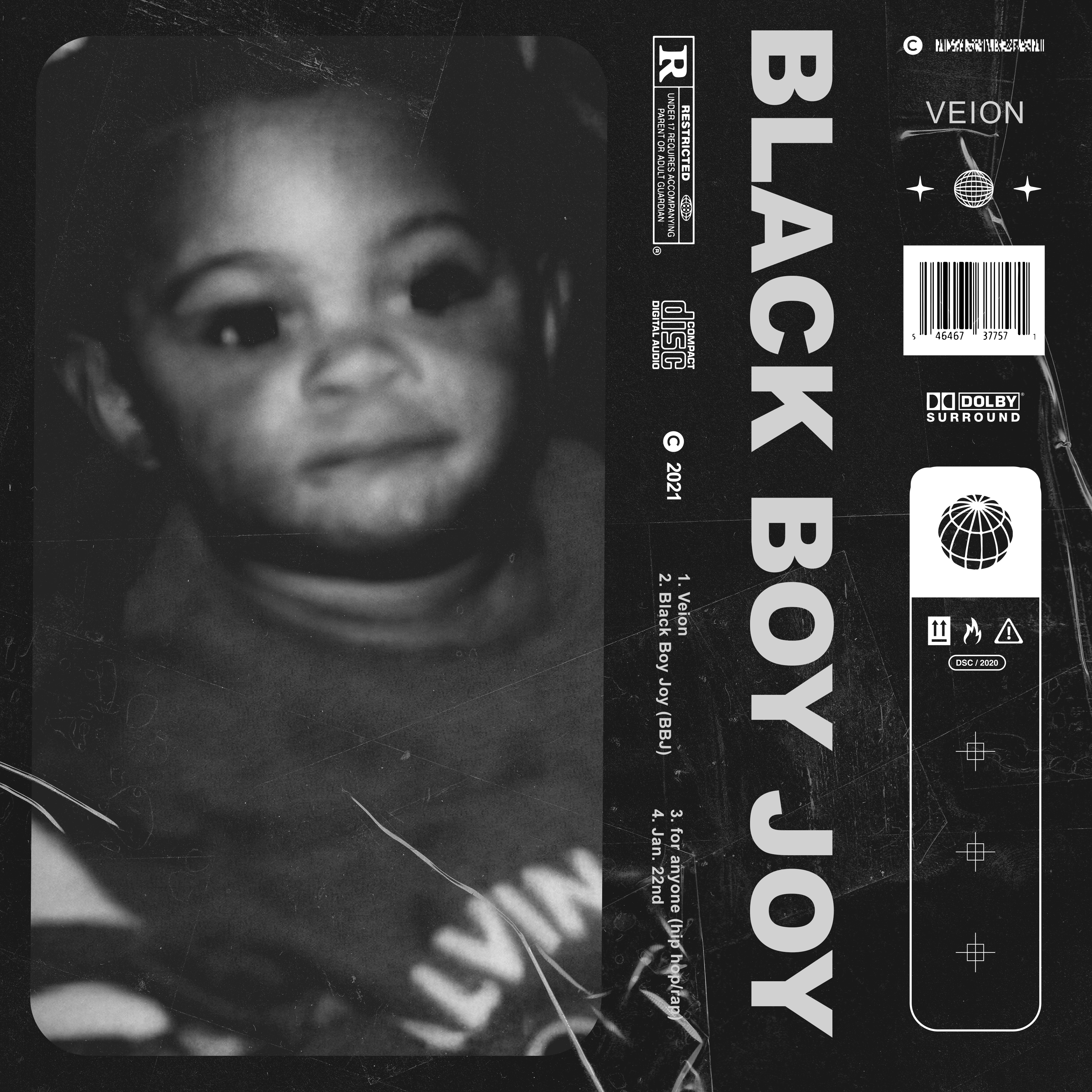 Black Boy Joy by Veion cover art