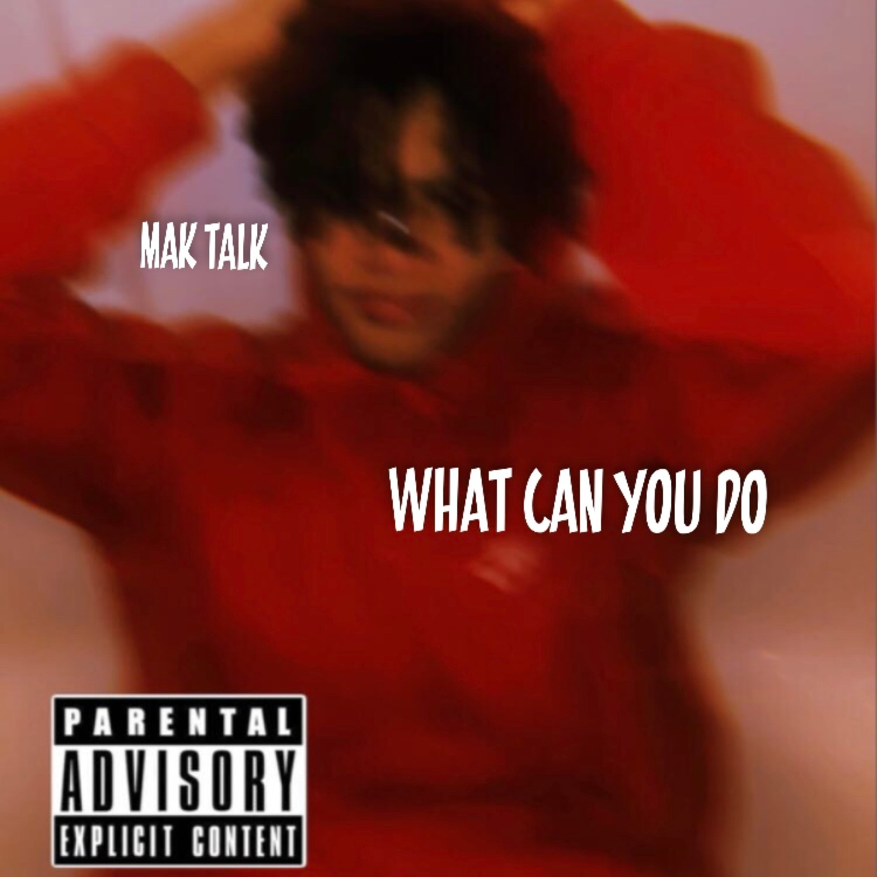 What Can You Do by Mak Talk cover art
