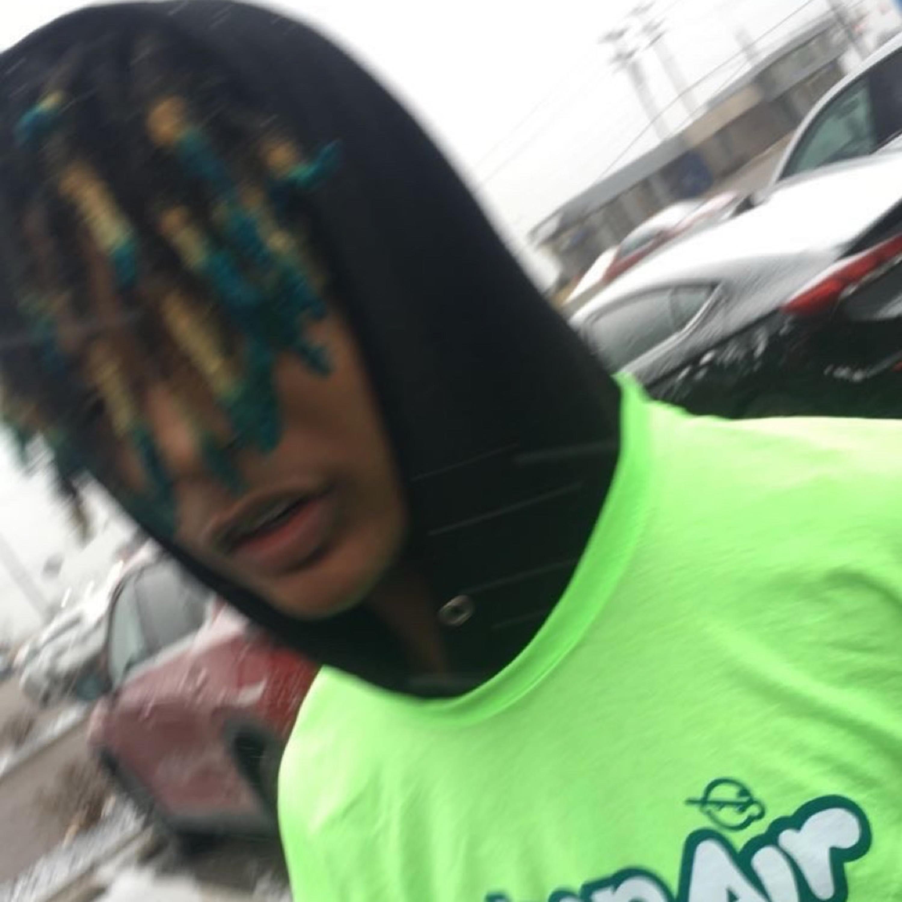 Too fried by Surro cover art