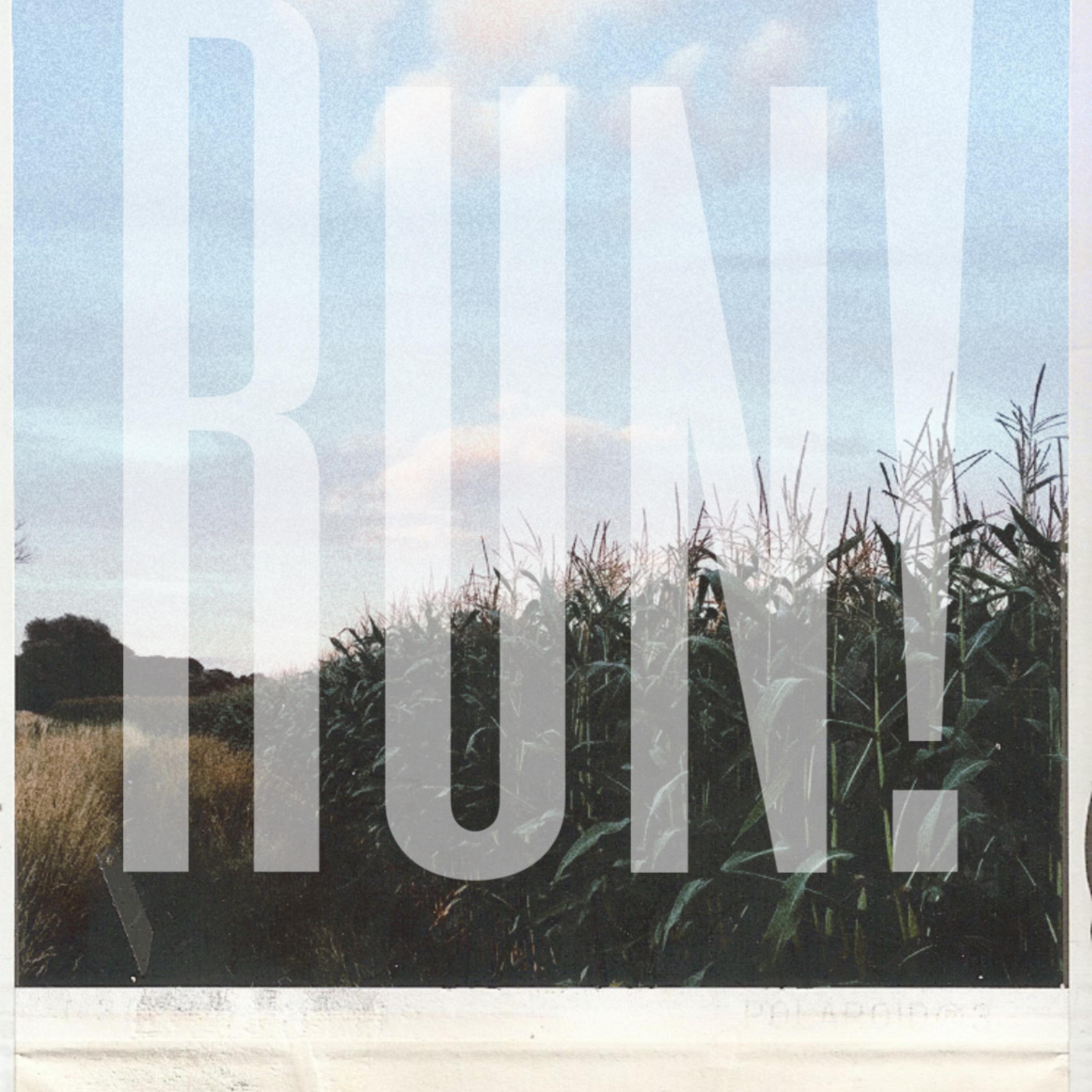 Run! by JaeYves cover art