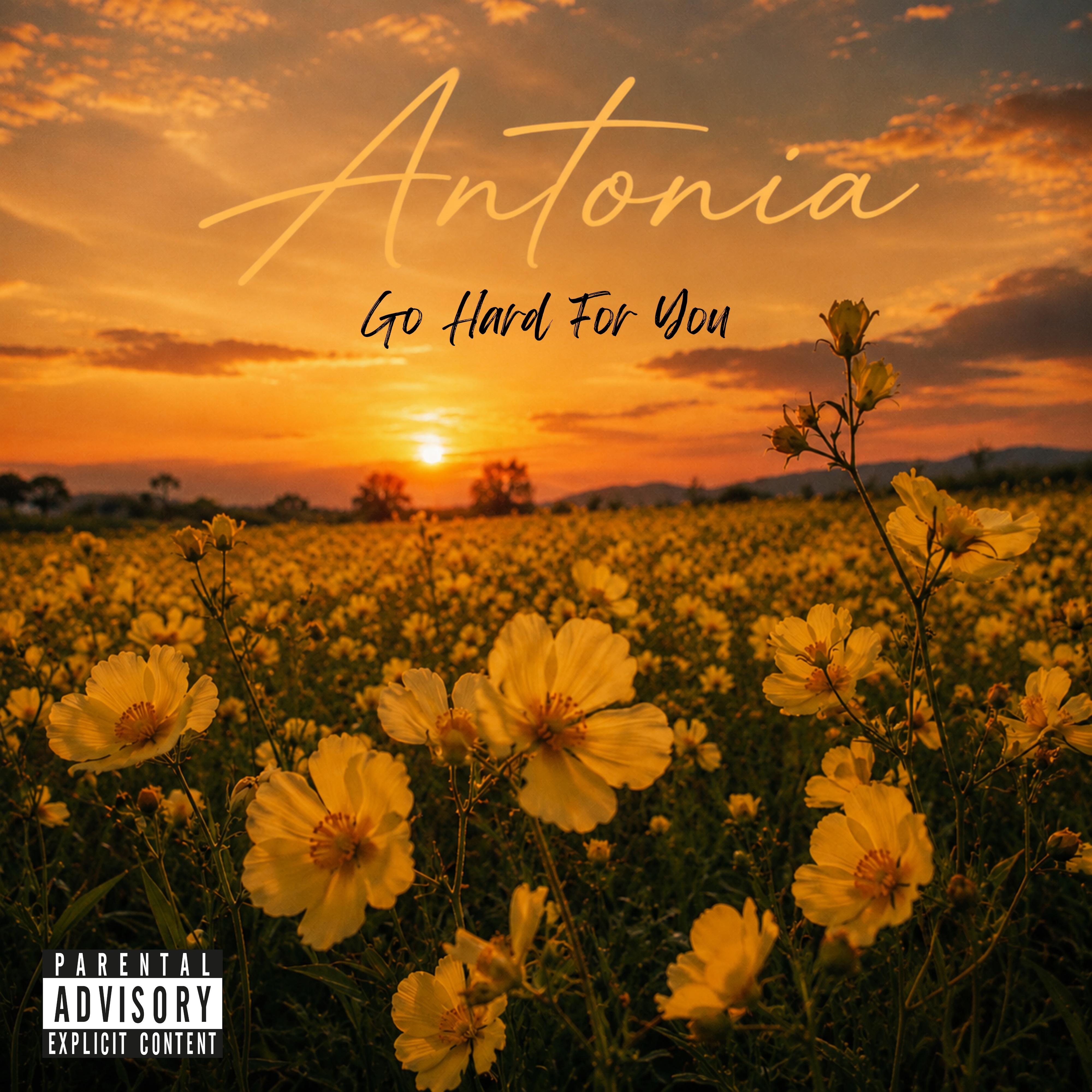 Antonia (Go hard for you) by Essence cover art