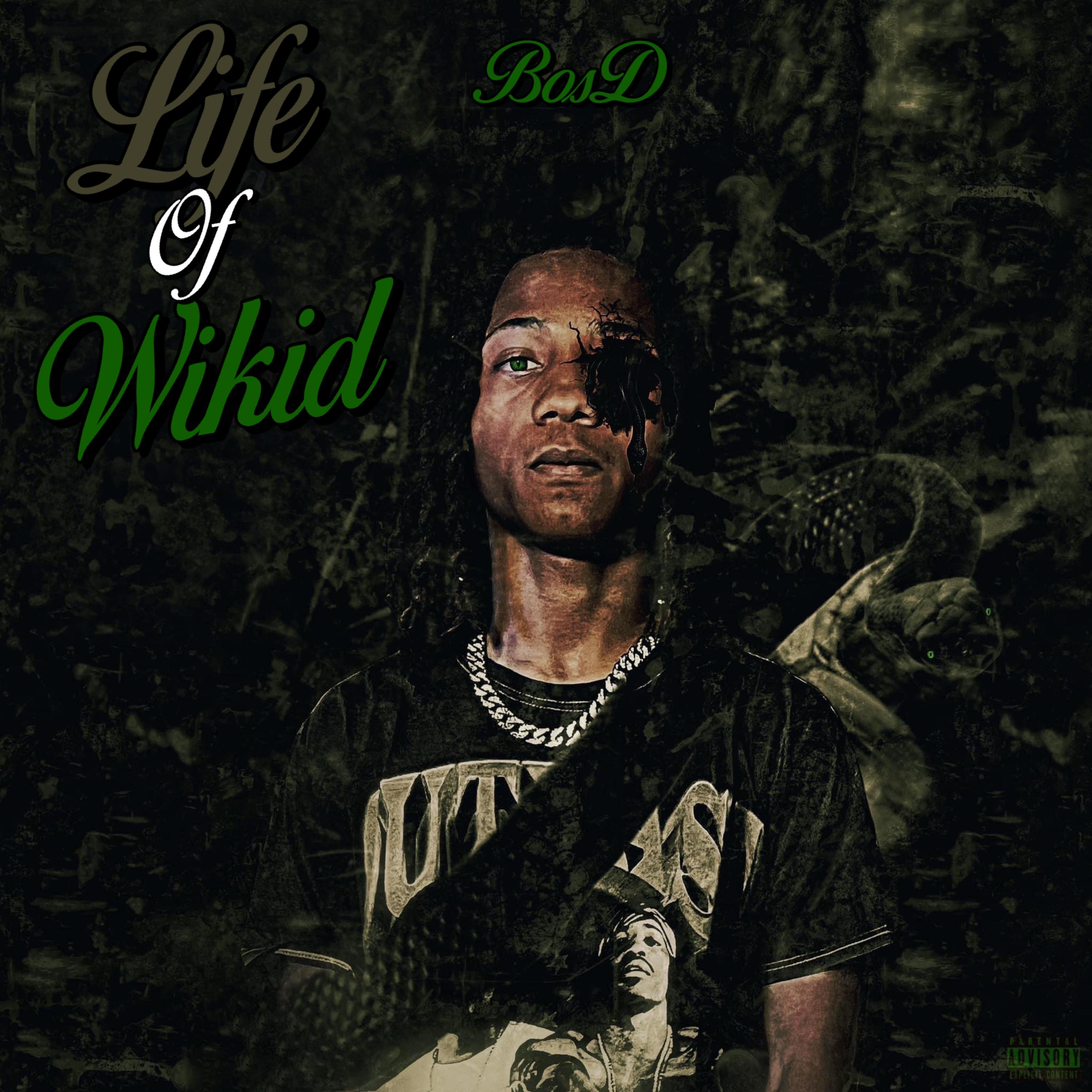 Life Of Wikid artwork